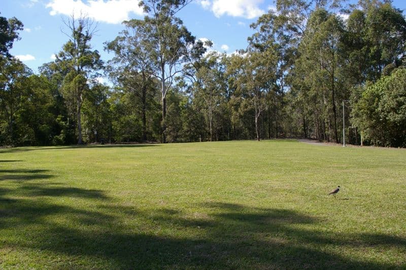 19 Majella Court, Caboolture South QLD 4510, Caboolture South - Thumbnail 4