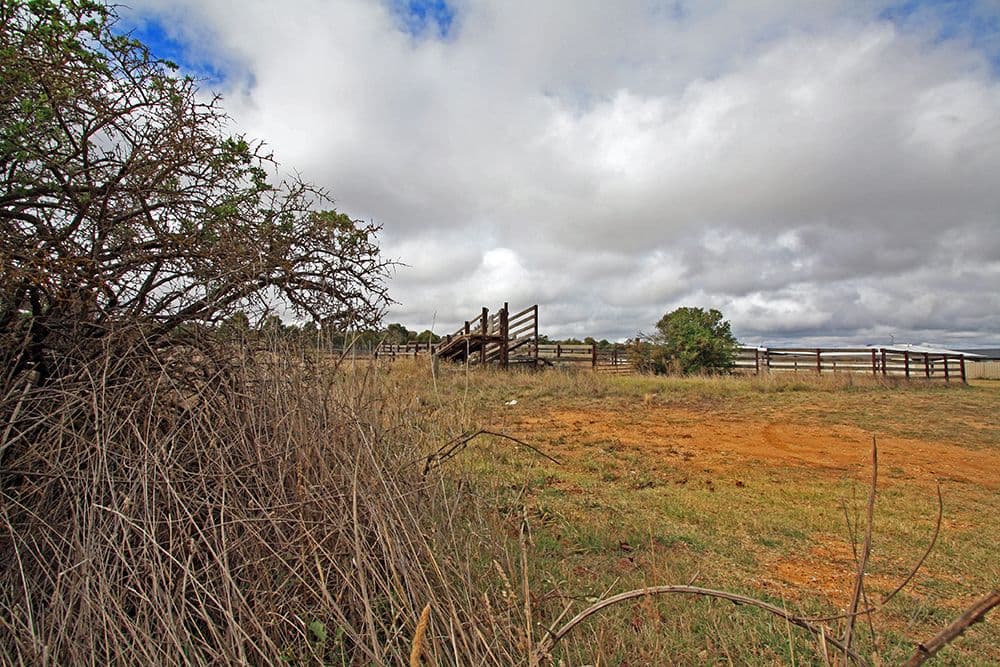 85 Trucking Yard Lane, Bungendore NSW 2621, Bungendore - Thumbnail 7