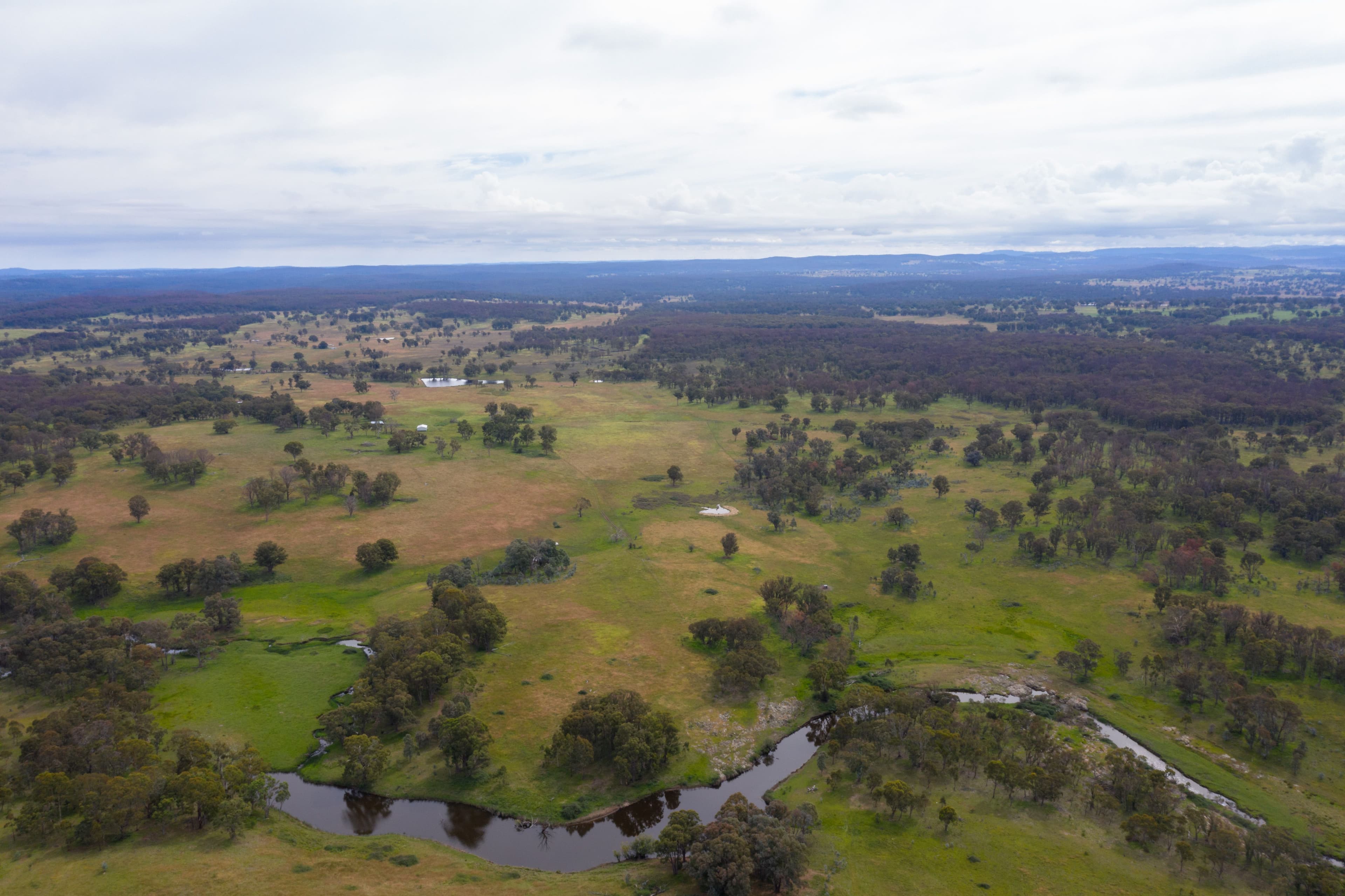 755 Junction Road, Tenterden NSW 2365, Tenterden - Thumbnail 6