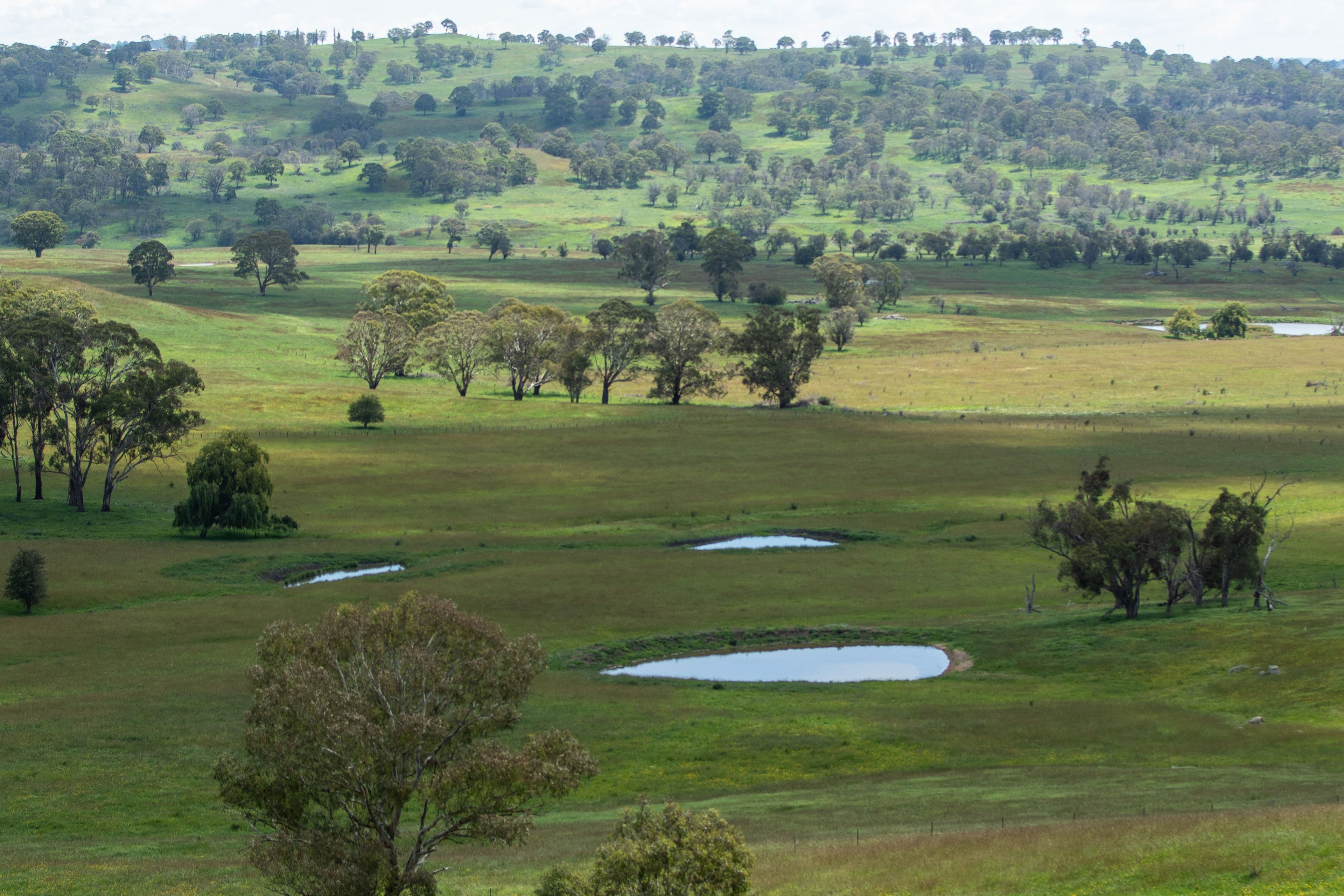 441 Streeters Road, Ben Lomond NSW 2365, Ben Lomond - Thumbnail 6