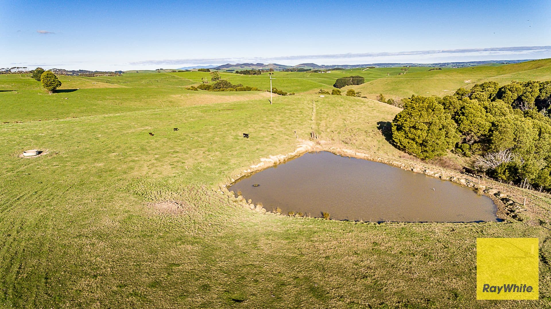 500 Buffalo North Road, Buffalo VIC 3958, Buffalo - Thumbnail 4