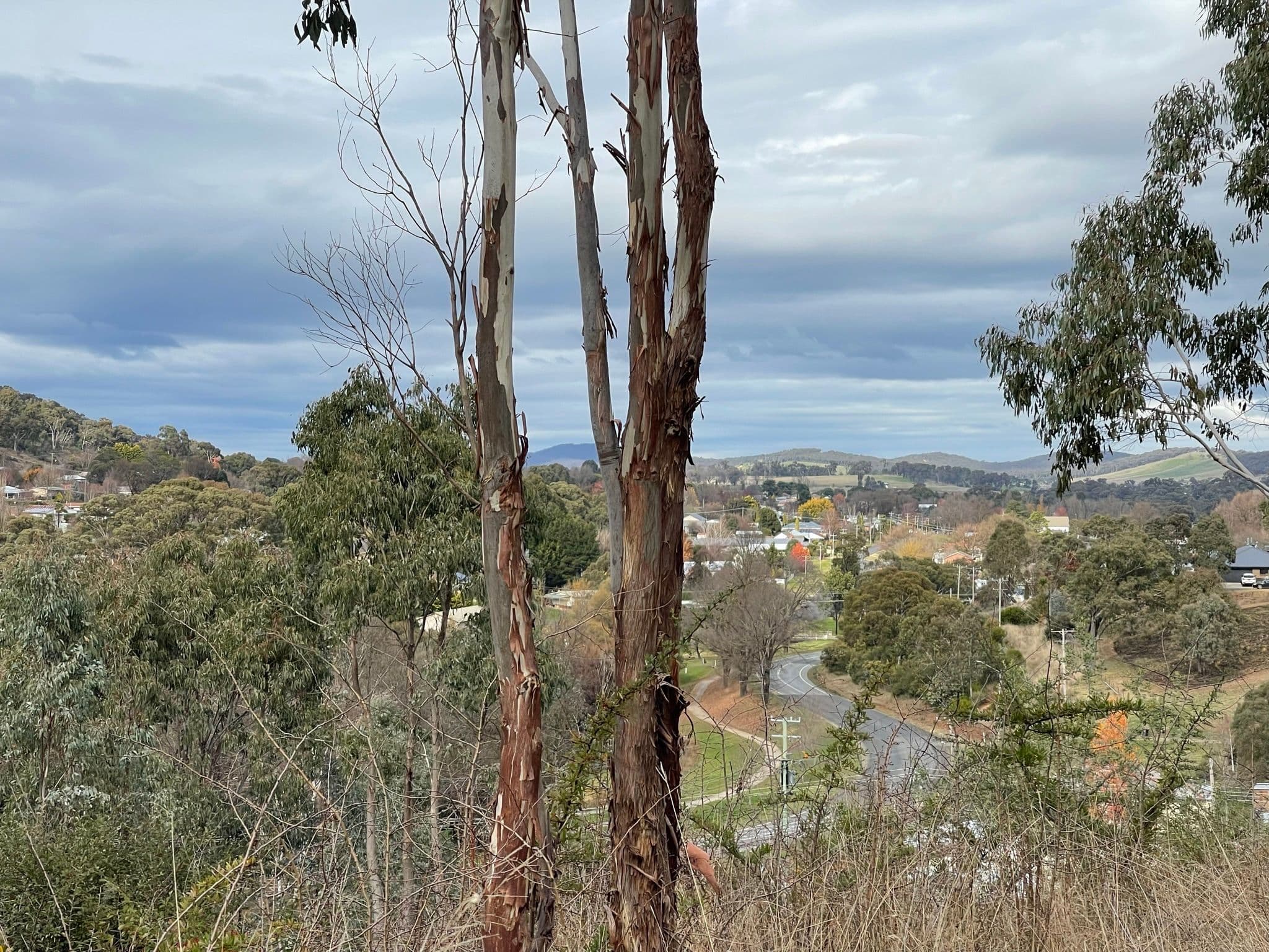 Tumbarumba NSW 2653, Tumbarumba - Thumbnail 2
