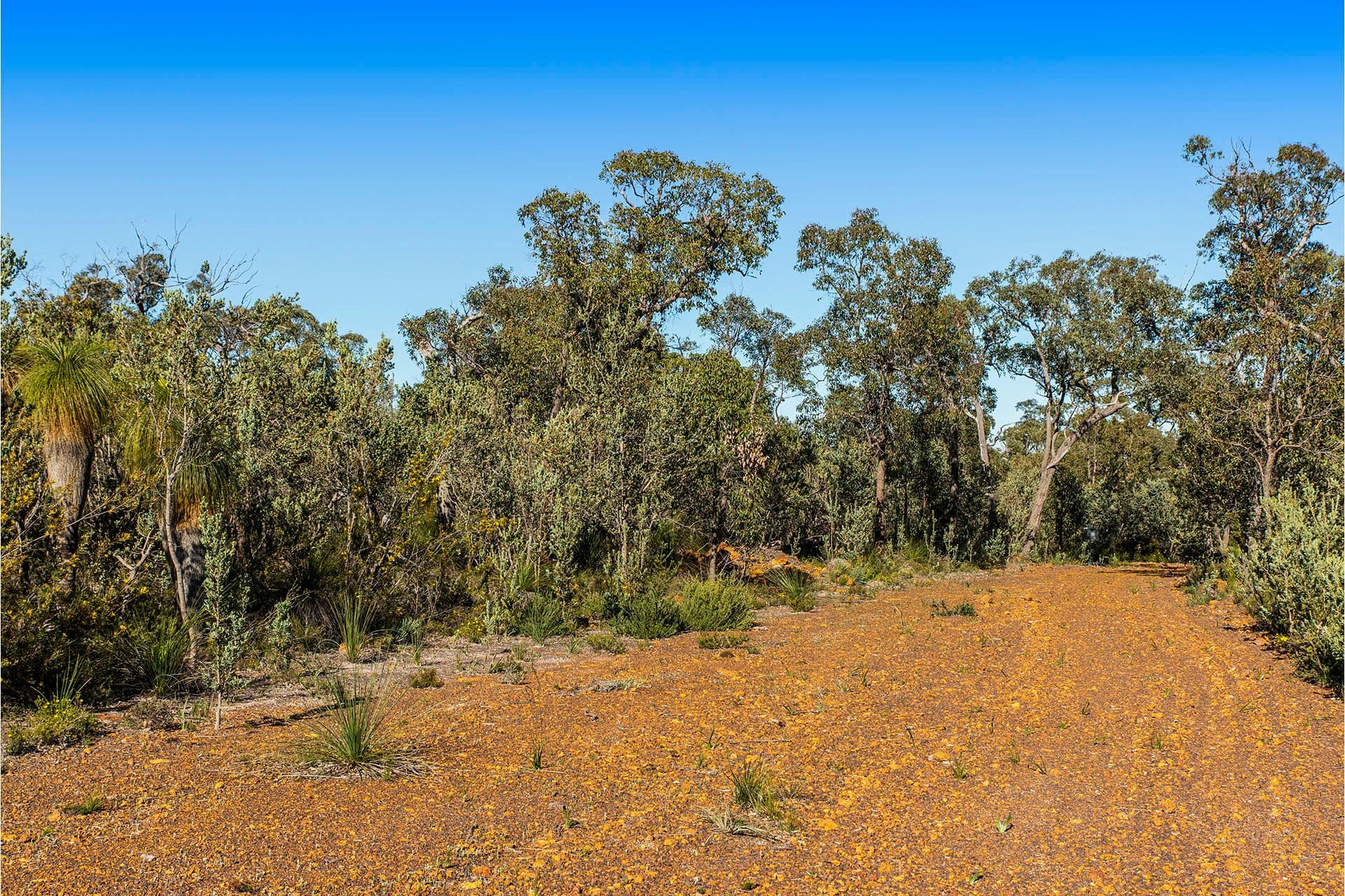 9 Pipe Lily Way, Lower Chittering WA 6084, Lower Chittering - Thumbnail 4