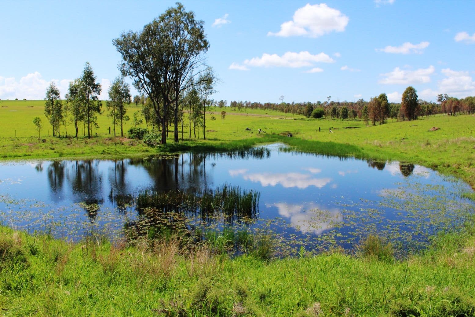 Lot 4 Gregor Road, Glen Esk QLD 4312, Glen Esk - Thumbnail 2