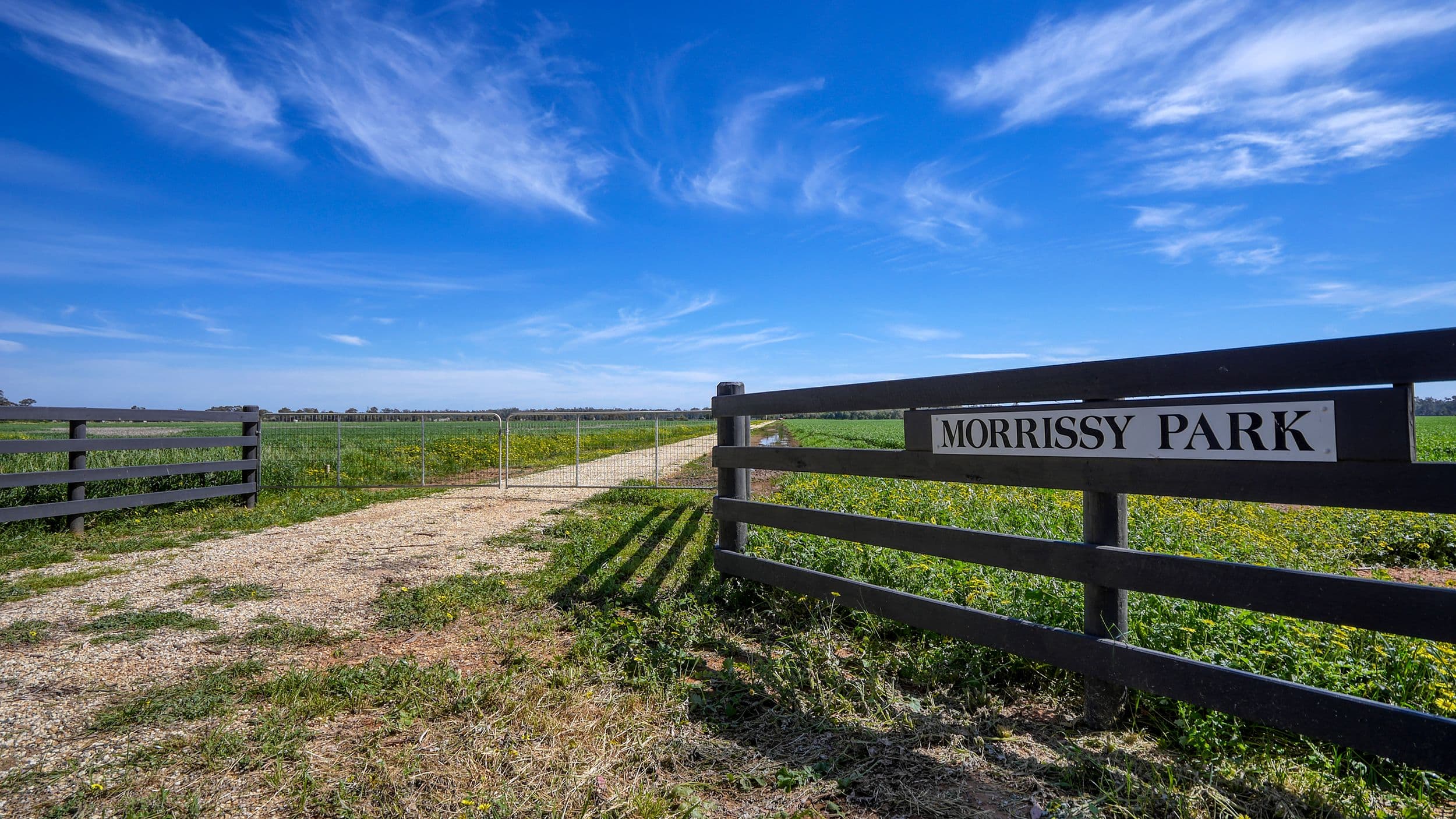Morrissy Park, Goulburn Weir VIC 3608, Goulburn Weir - Thumbnail 8