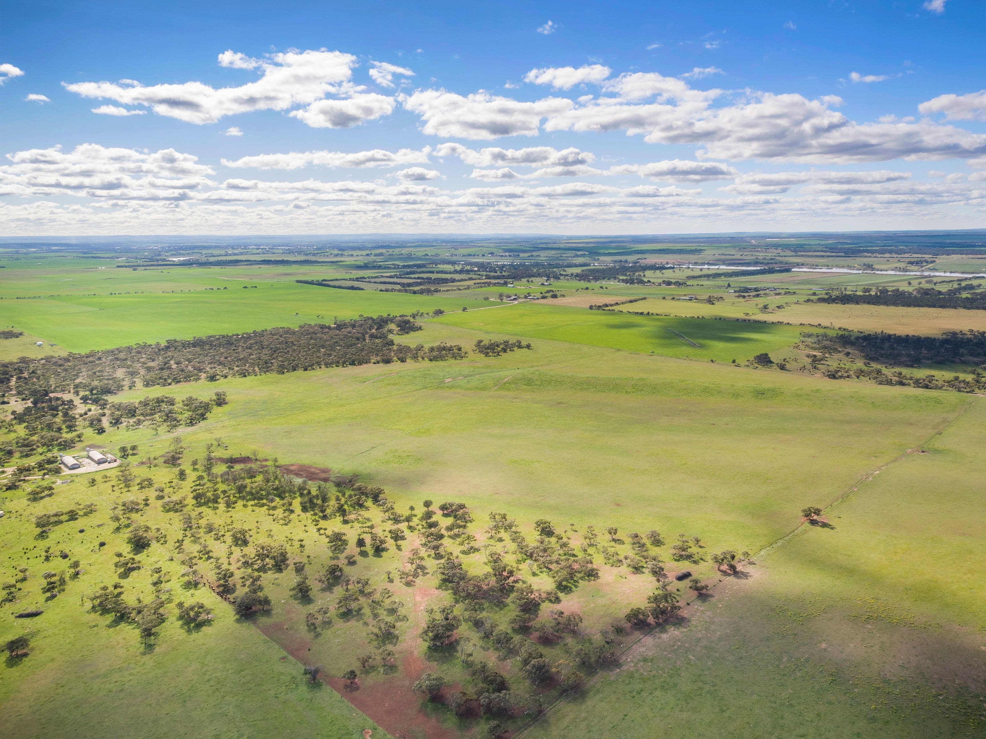 'Dieners' - Lot 1176 Longs Road, Woods Point SA 5253, Woods Point - Thumbnail 5