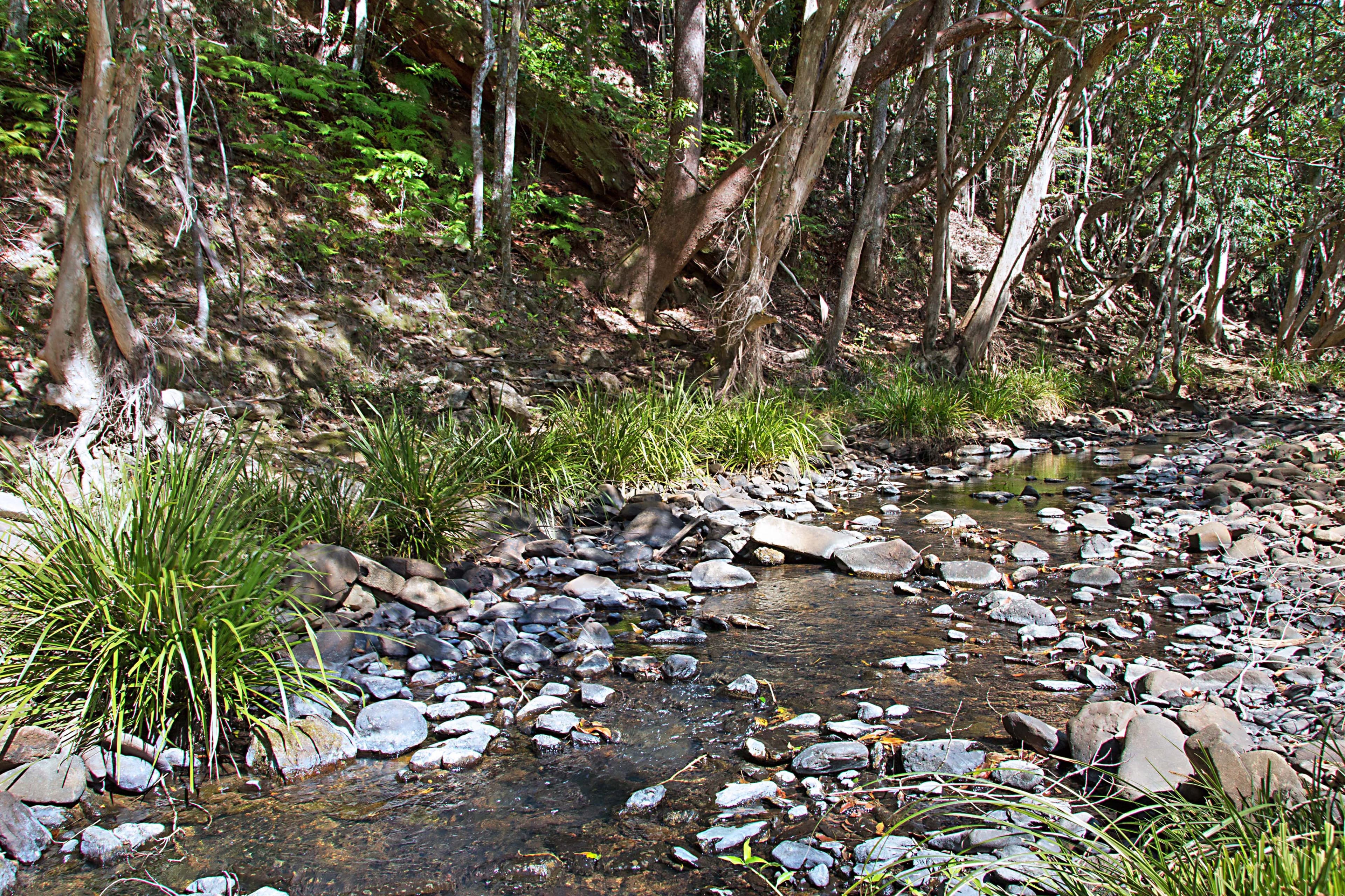 679 Urliup Road, Urliup NSW 2484, Urliup - Thumbnail 5