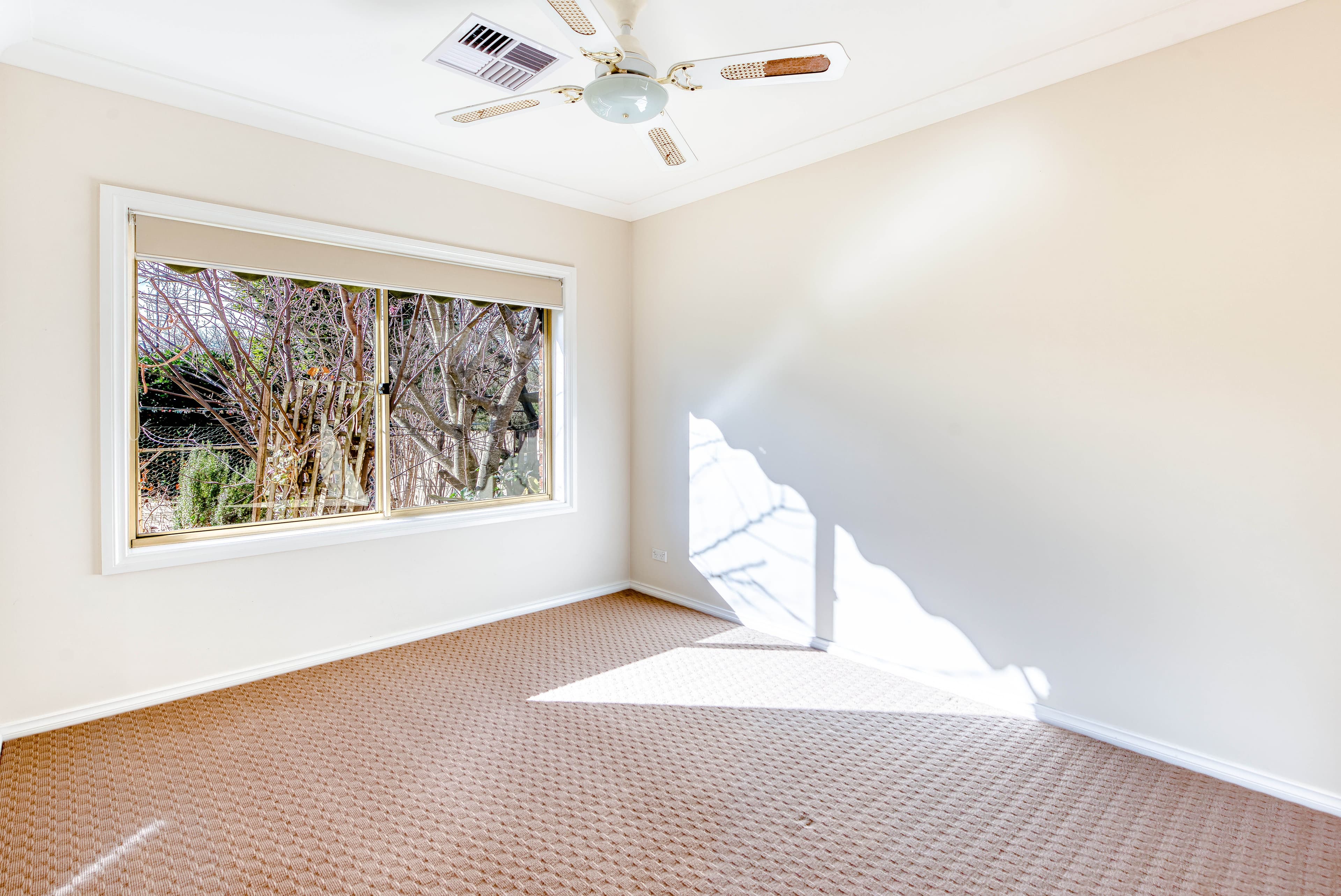 41 Hill Street, Picton - Thumbnail 8