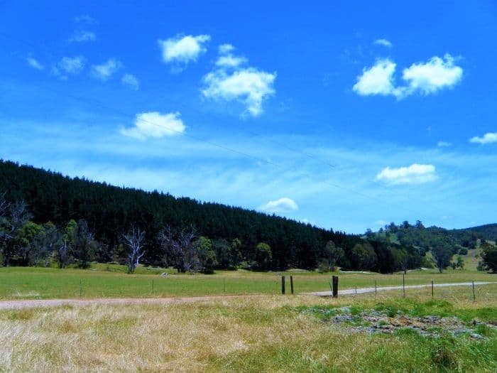 Lot 84 Balingup Nannup Road, Nannup WA 6275, Nannup - Thumbnail 7