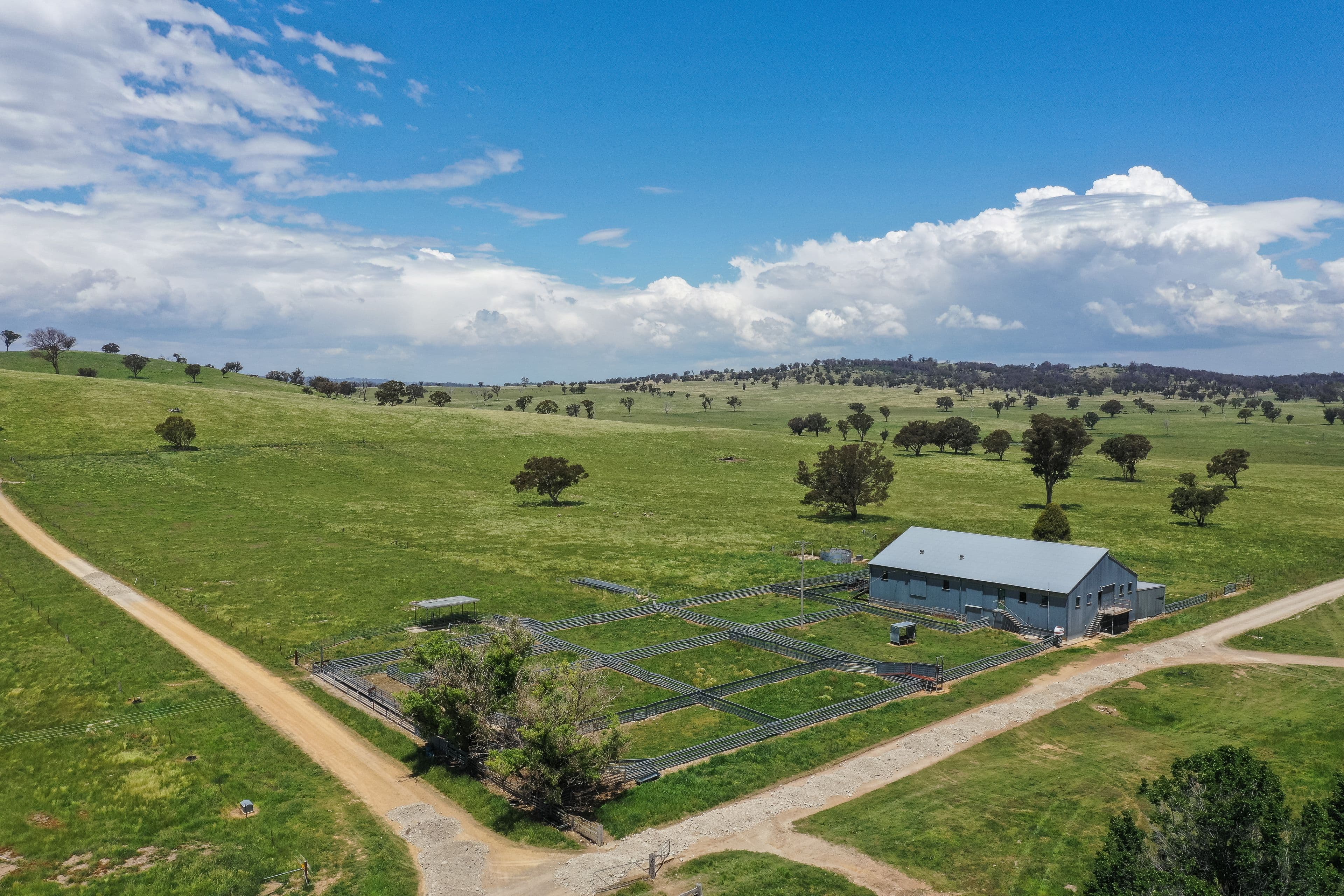 3231 Boorolong Road, Armidale NSW 2350, Armidale - Thumbnail 5