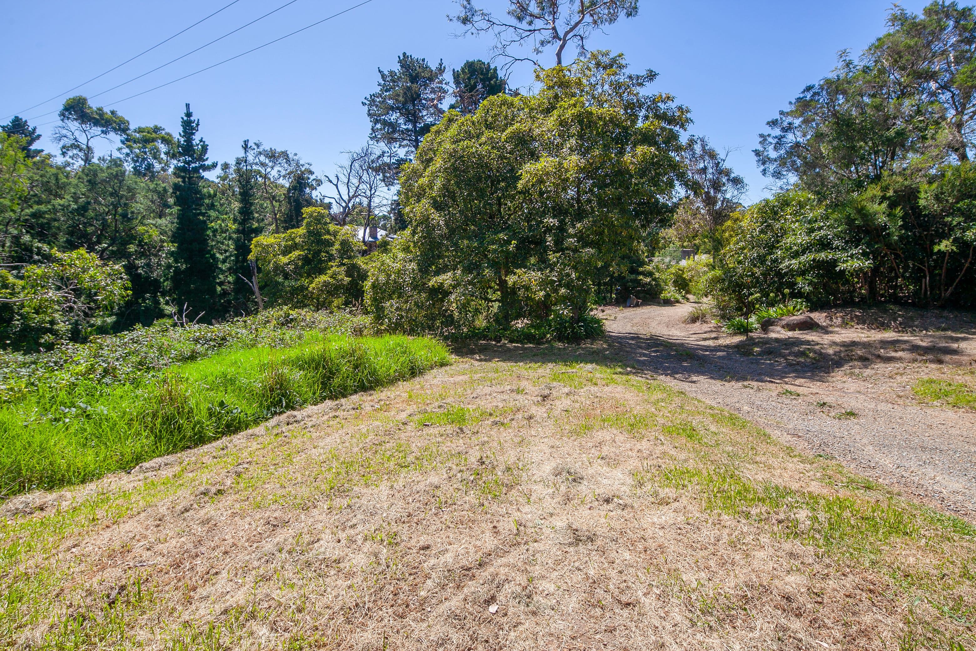 249 Canadian Bay Road, Mount Eliza VIC 3930, Mount Eliza - Thumbnail 2