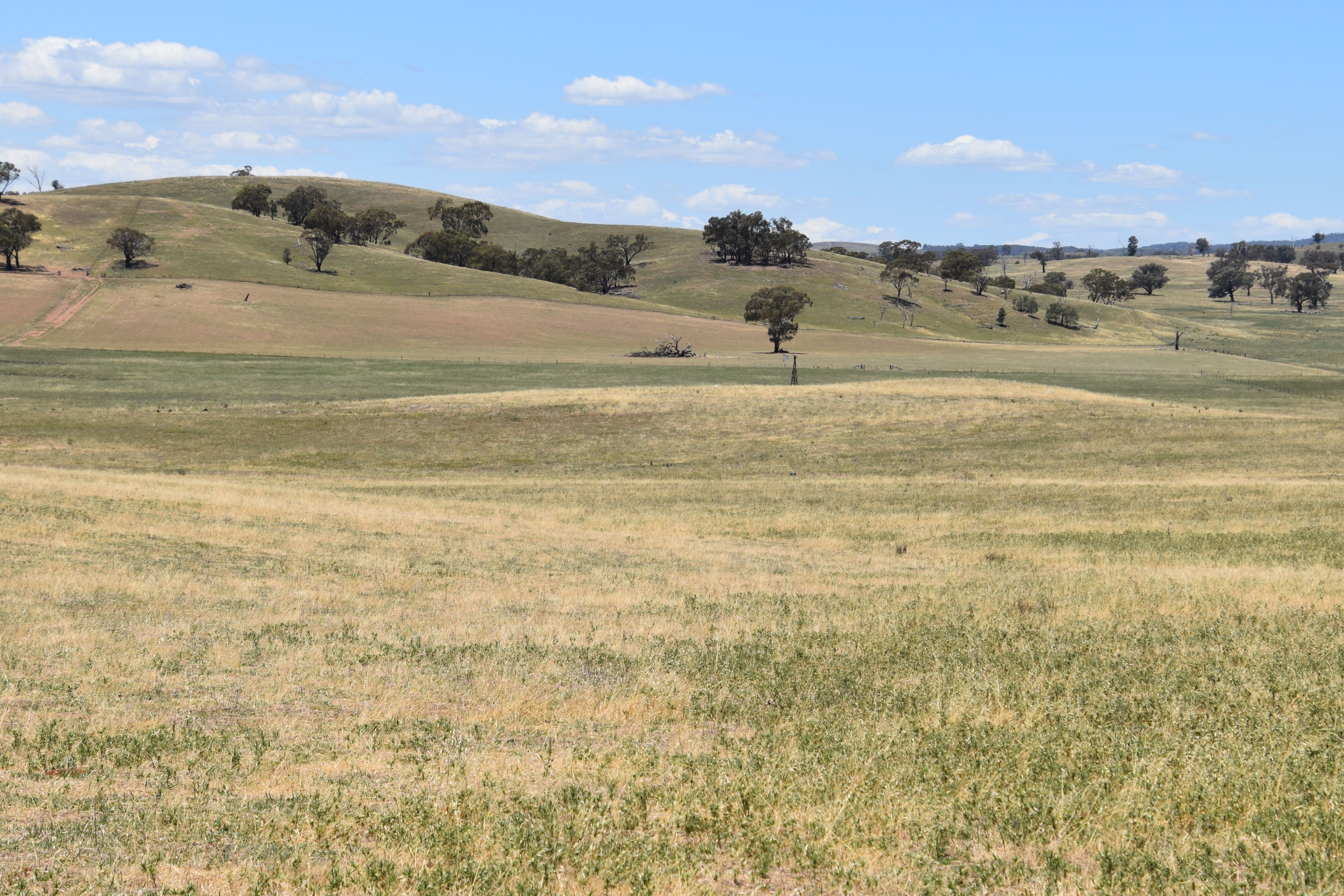 'Old Beri' Euchareena, Molong NSW 2866, Molong - Thumbnail 6