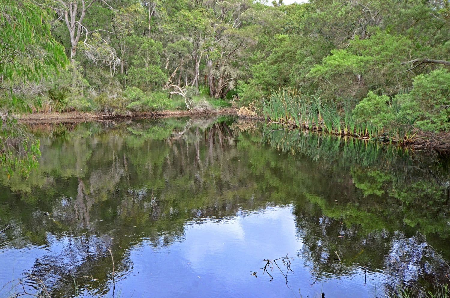 Lot A 84 Hunton Road, Kalgan WA 6330, Kalgan - Thumbnail 2