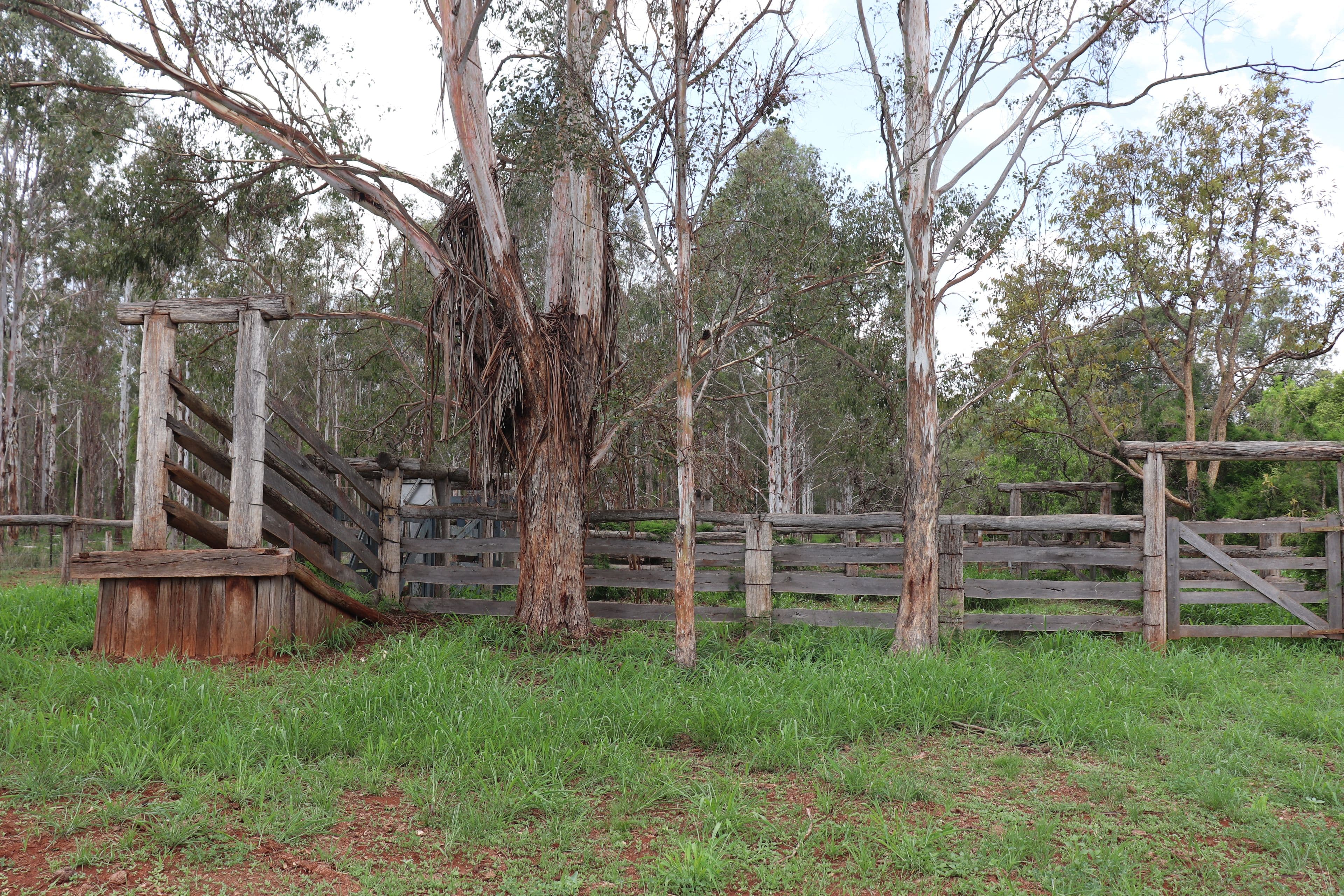 Lot 189 Birt Road, Memerambi QLD 4610, Memerambi - Thumbnail 3