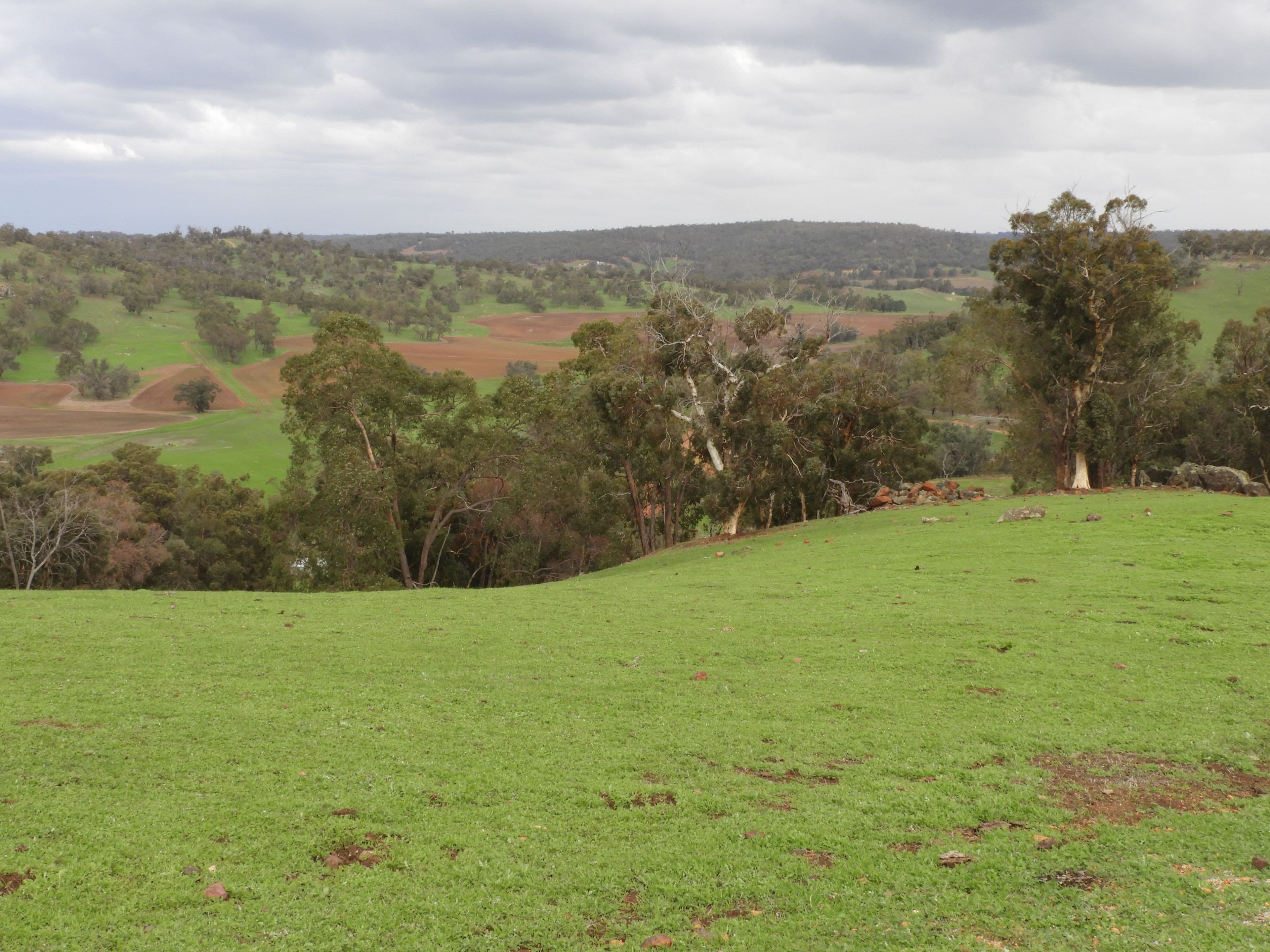 Lot 716 Lower Chittering Road, Chittering WA 6084, Chittering - Thumbnail 6
