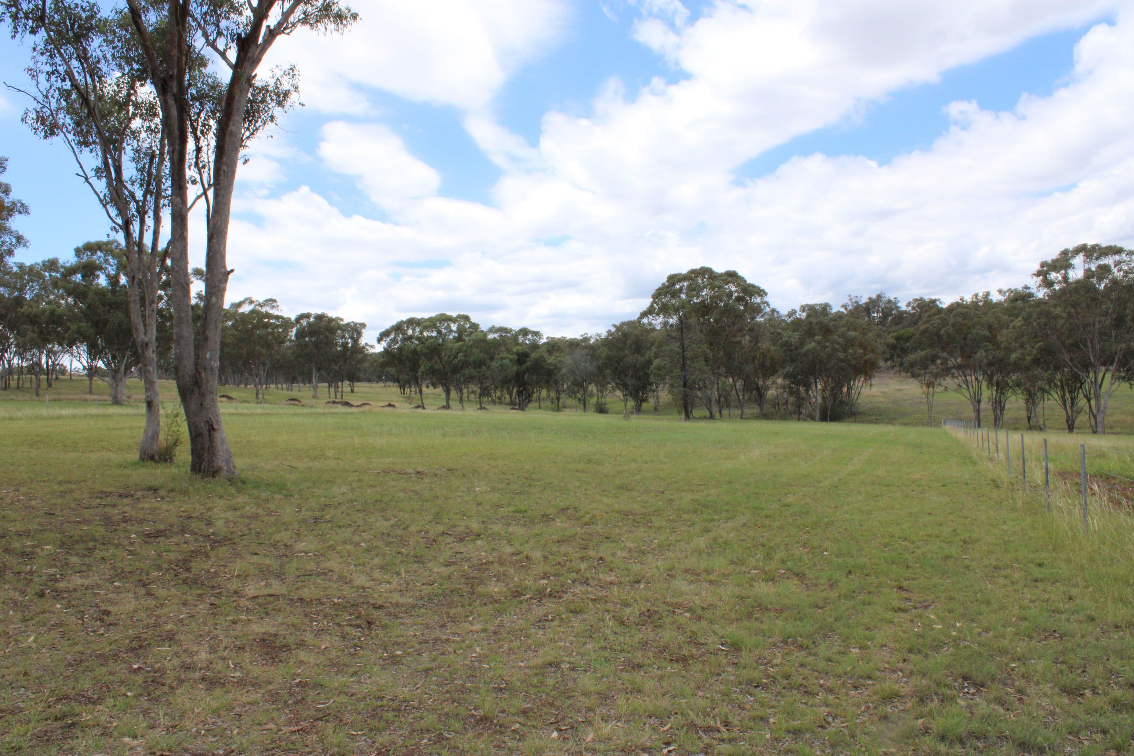 66 Bimbadeen Drive, Inverell NSW 2360, Inverell - Thumbnail 4