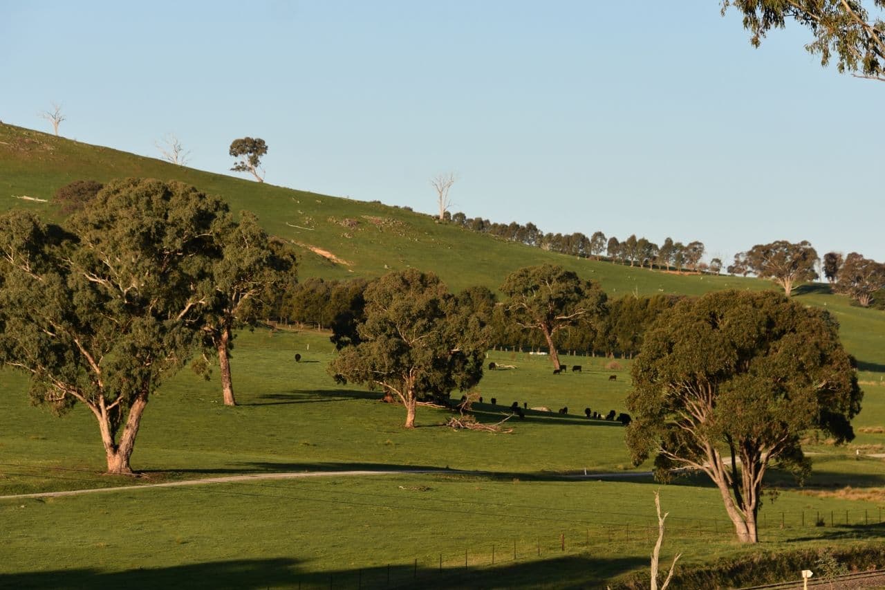 401 Lucan Road, Lyndhurst NSW 2797, Lyndhurst - Thumbnail 5