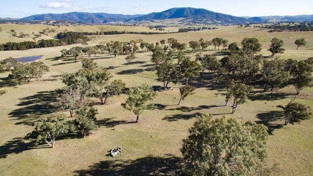 1887 Hazelgrove Road, Tarana NSW 2787, Tarana - Thumbnail 3