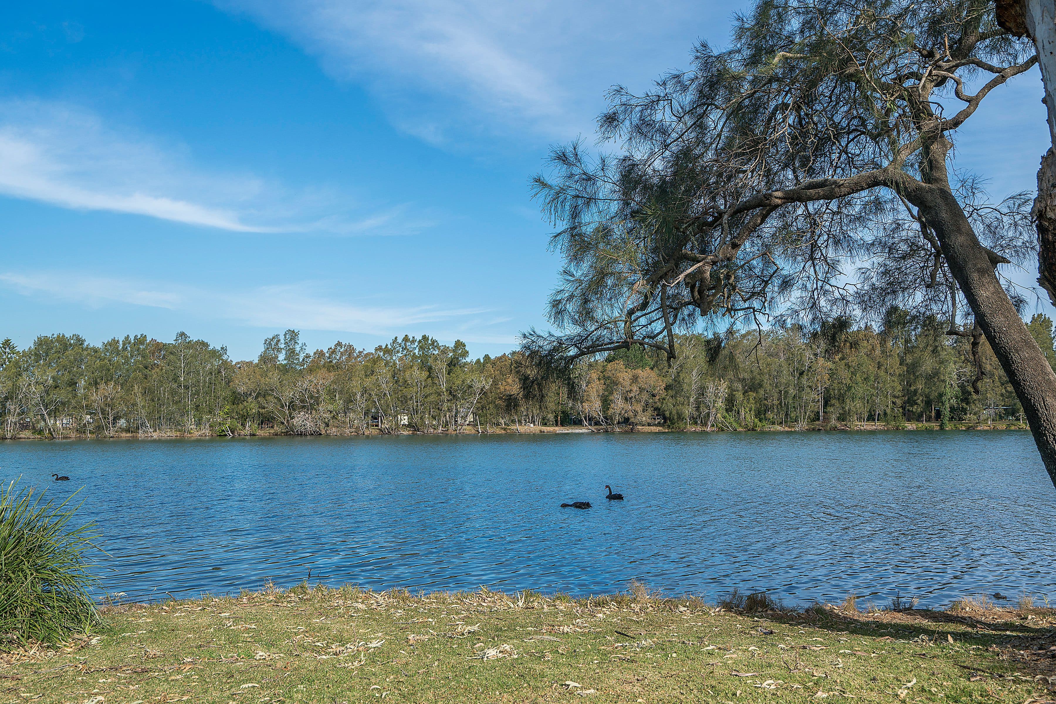 194 Dora Street, Dora Creek - Thumbnail 4
