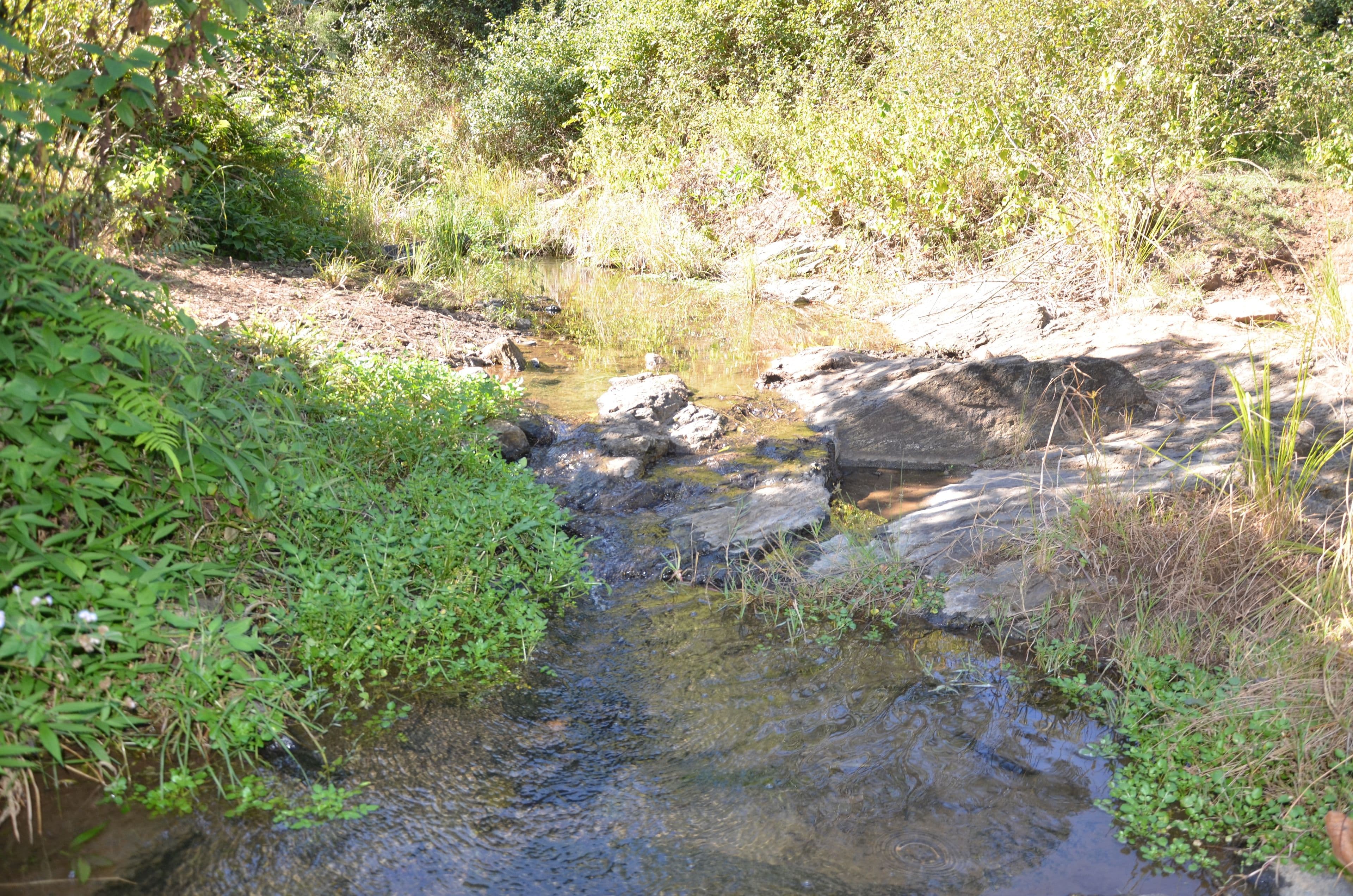 Rush Creek QLD 4521, Rush Creek - Thumbnail 3