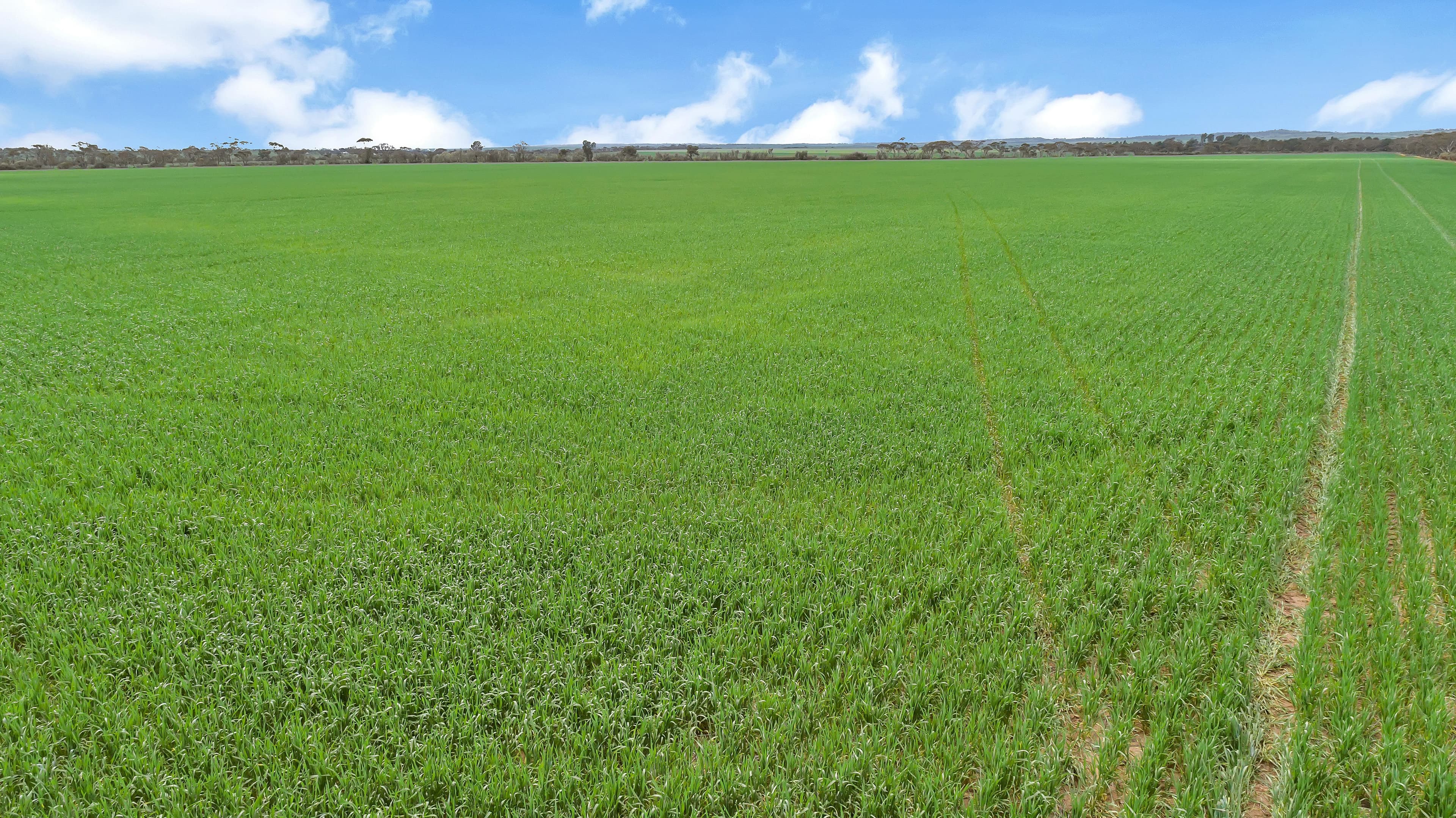 'Smitham's' 470 Smitham Road, Hart SA 5464, Hart - Thumbnail 5