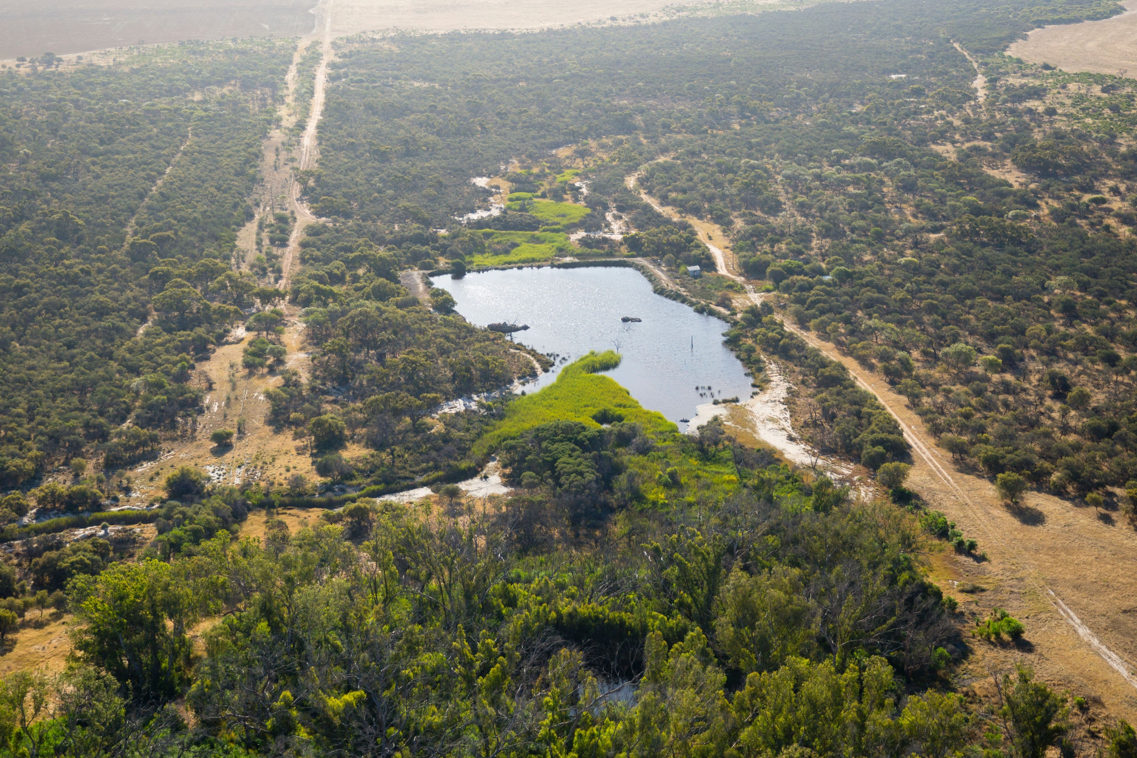 Erregulla Plains, Midlands Road, Mingenew WA 6522, Mingenew - Thumbnail 7