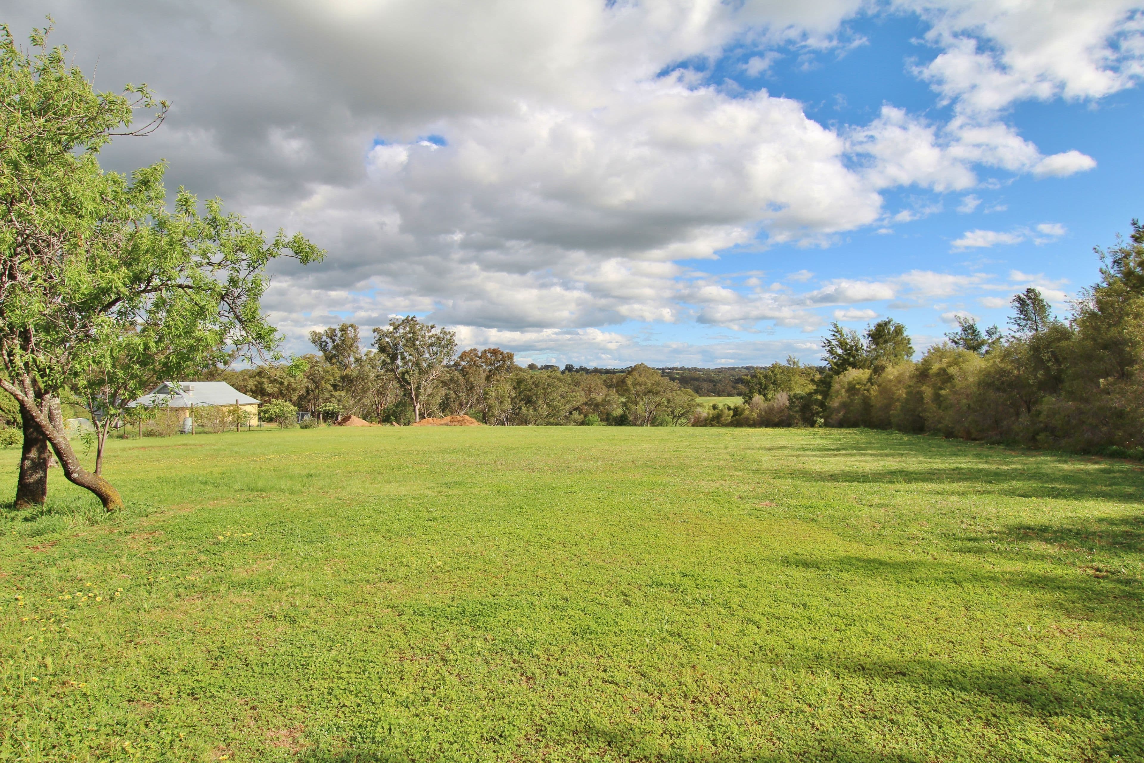 78 Whites Road, Young NSW 2594, Young - Thumbnail 5
