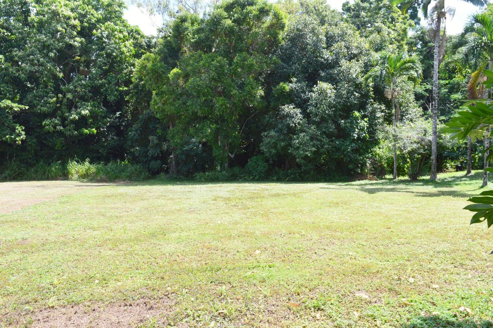 16 Royal Palm Drive, Mission Beach QLD 4852, Mission Beach - Image 1