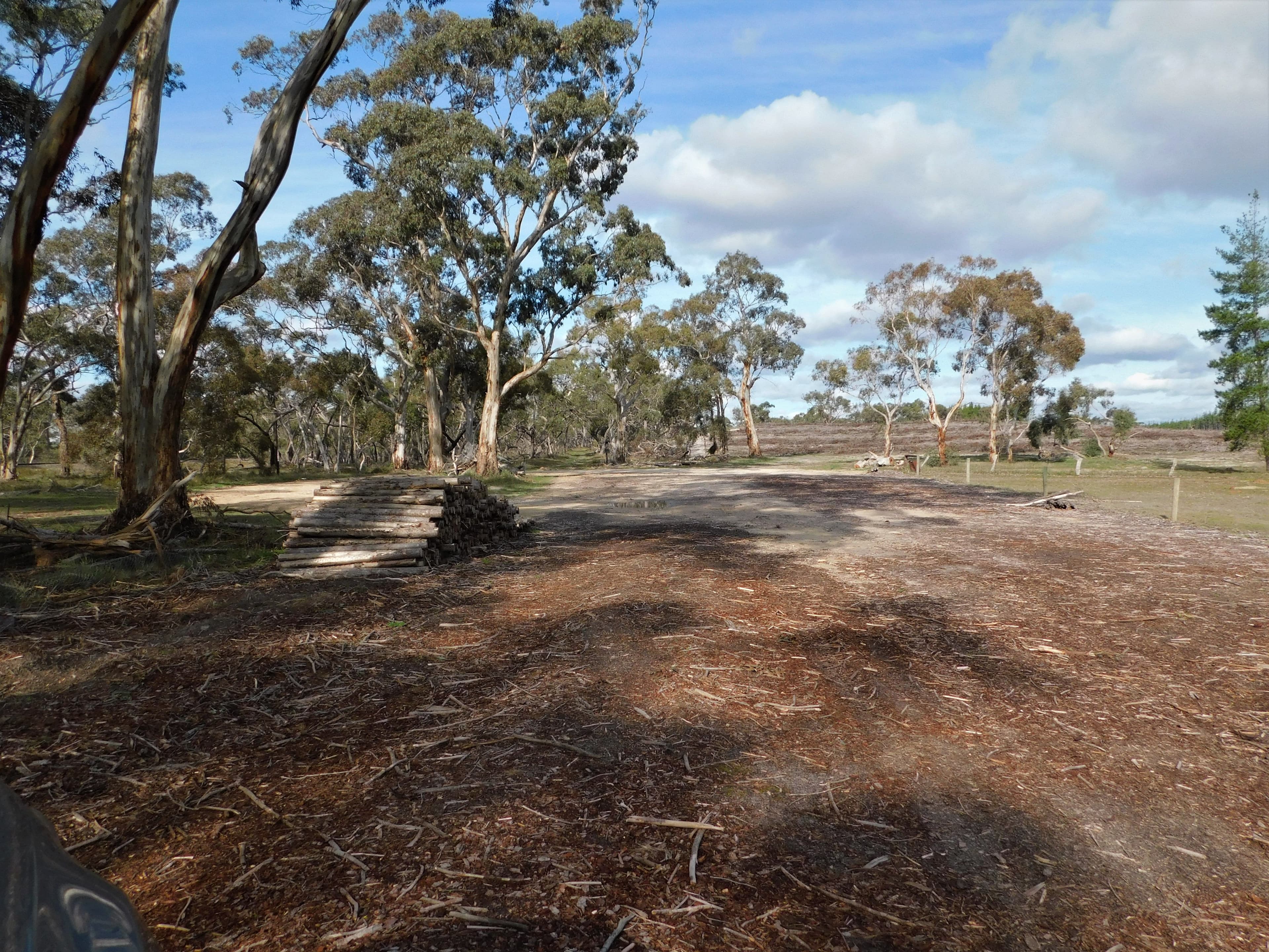 Lot 8 Bangham Road, Bangham SA 5268, Bangham - Thumbnail 4