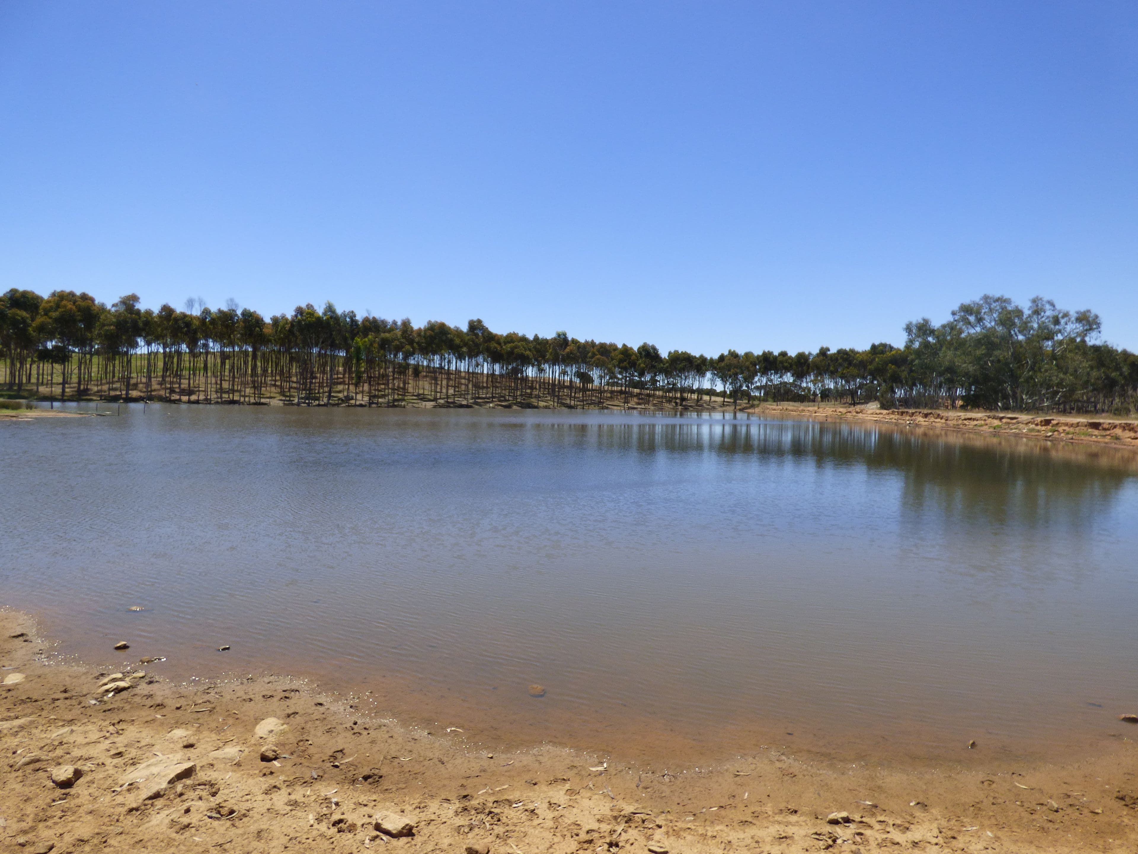 Lot 3 Klenke Road, Wistow SA 5251, Wistow - Thumbnail 4