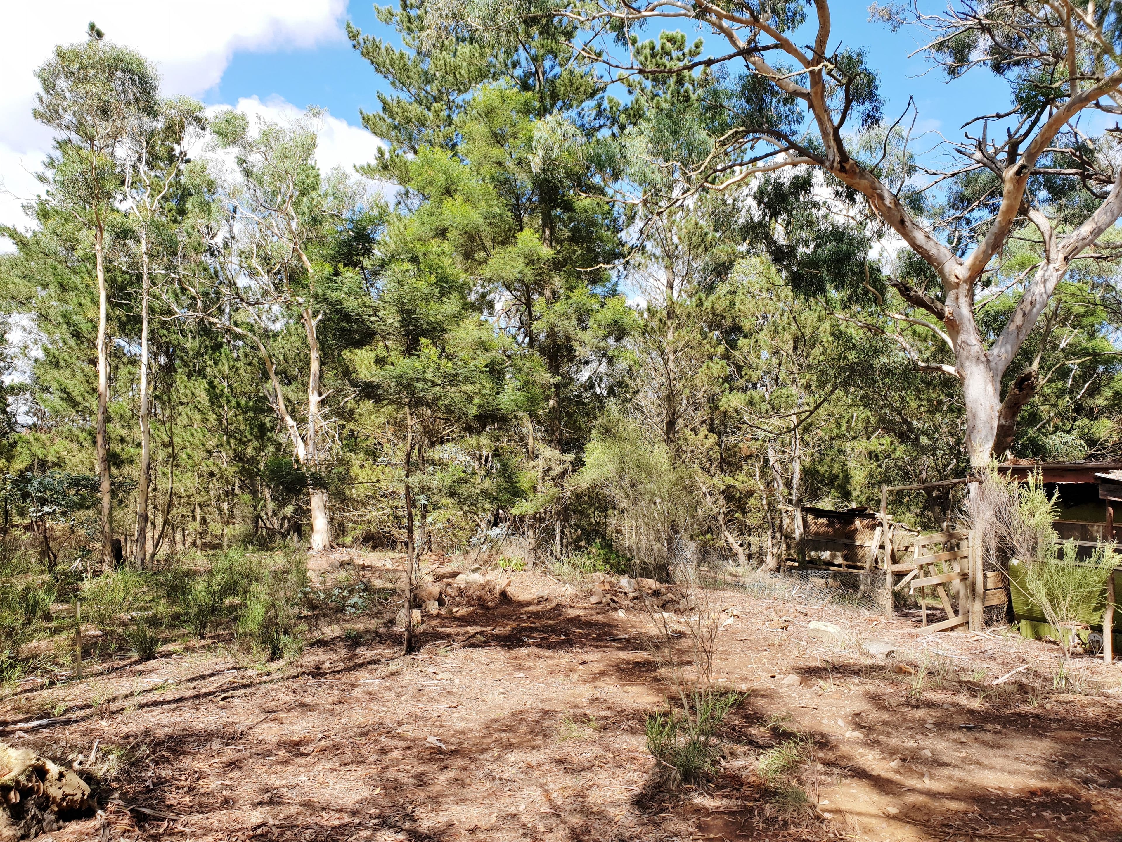 124 Nerriga Road, Braidwood NSW 2622, Braidwood - Thumbnail 6
