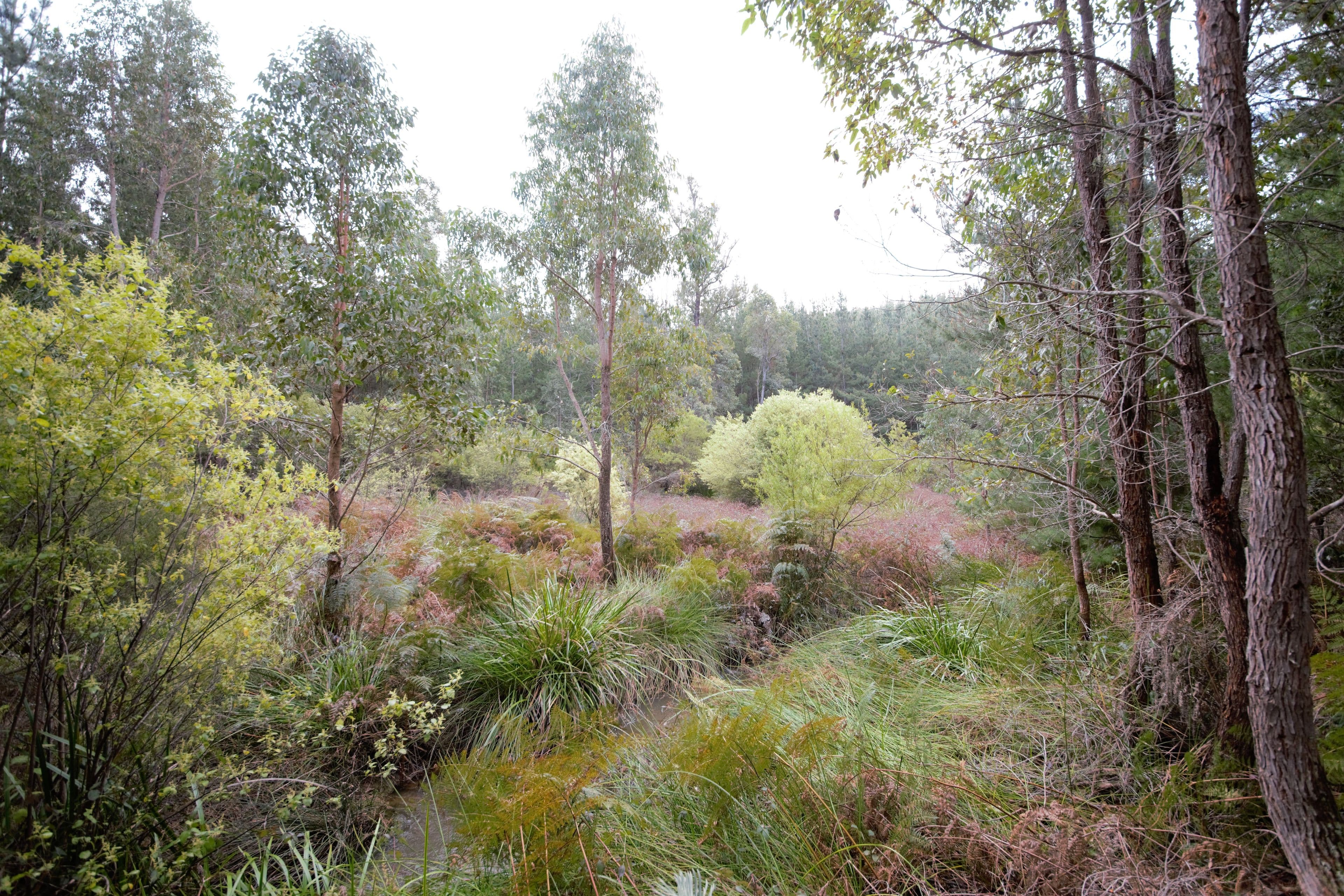 Nannup WA 6275, Nannup - Thumbnail 7