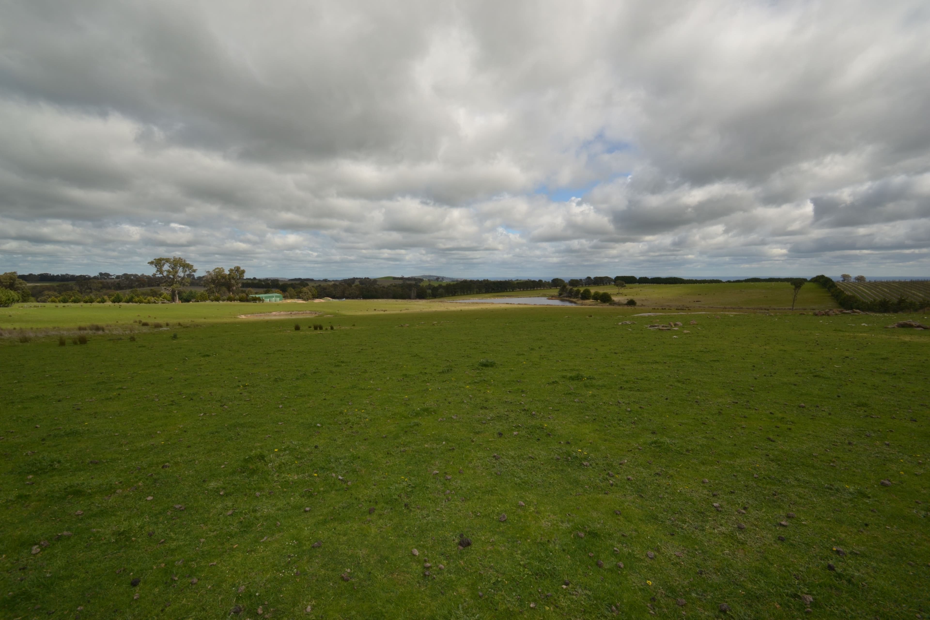 1549 Upton Road, Avenel VIC 3664, Avenel - Thumbnail 3