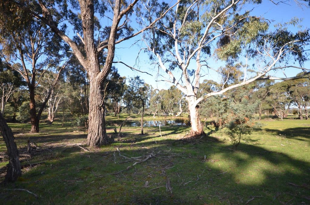 CA 8 Armstrong Lane, WATERLOO VIC 3373, Waterloo - Thumbnail 8