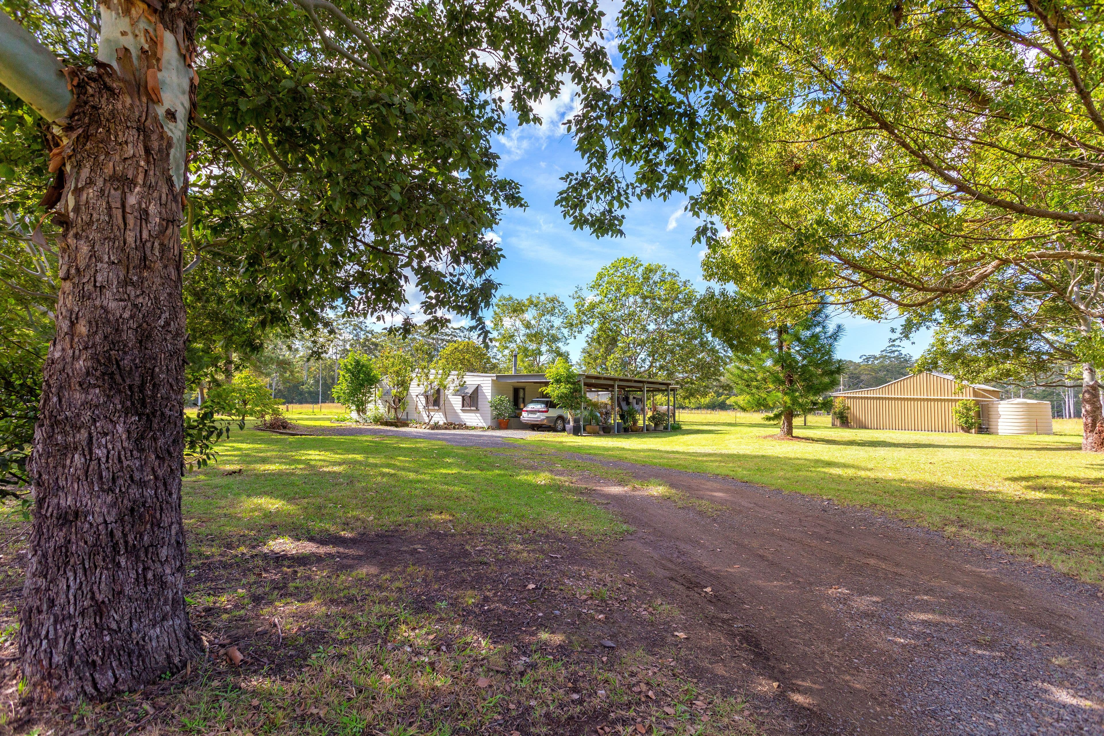 351 Half Chain Road Koorainghat via, Taree NSW 2430, Taree - Thumbnail 7