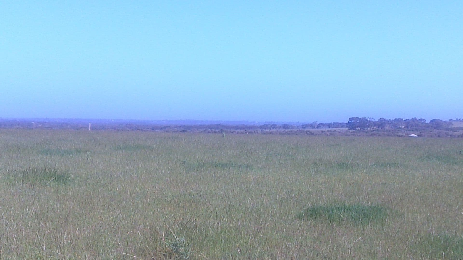 Lot 2 Myrup Road, Myrup WA 6450, Myrup - Thumbnail 2
