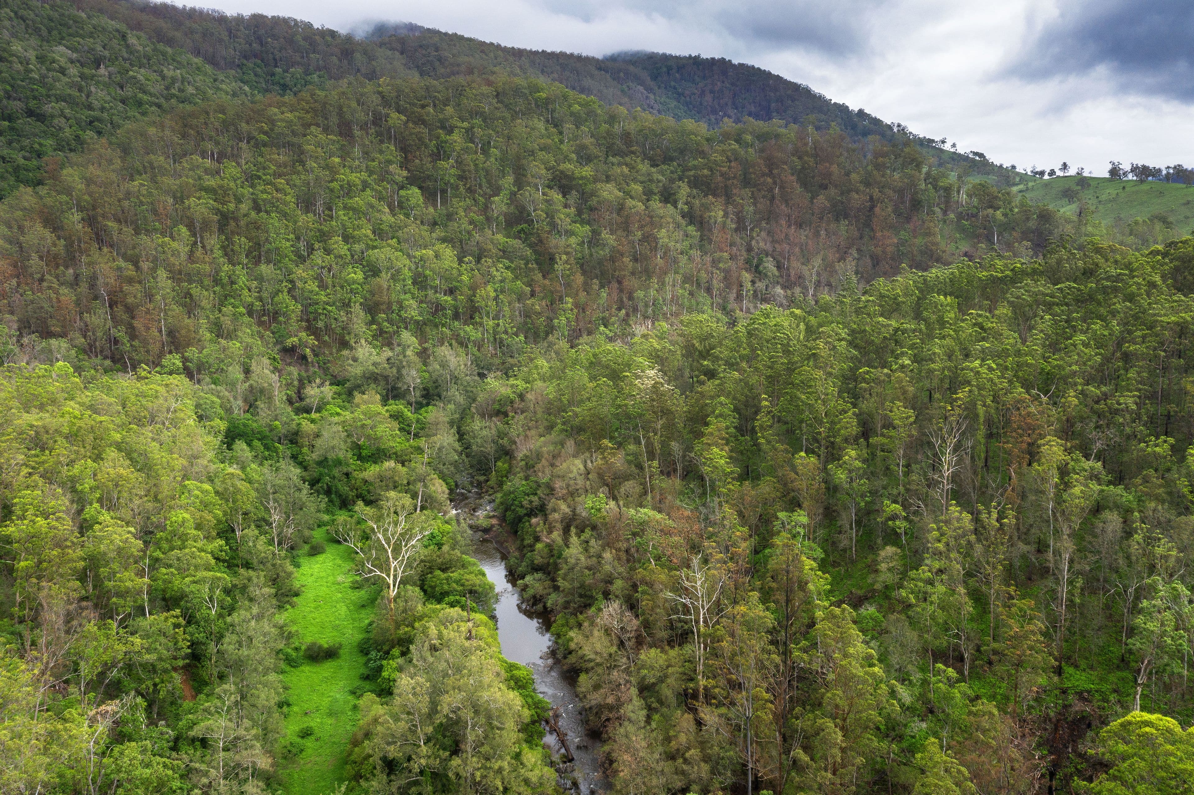 Lot 154 Cells Road, Cells River NSW 2424, Cells River - Thumbnail 6