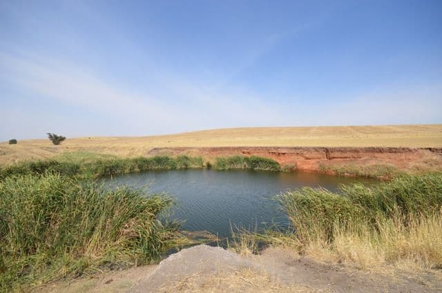 2 Lots RM Williams Highway, Andrews SA 5454, Andrews - Thumbnail 7