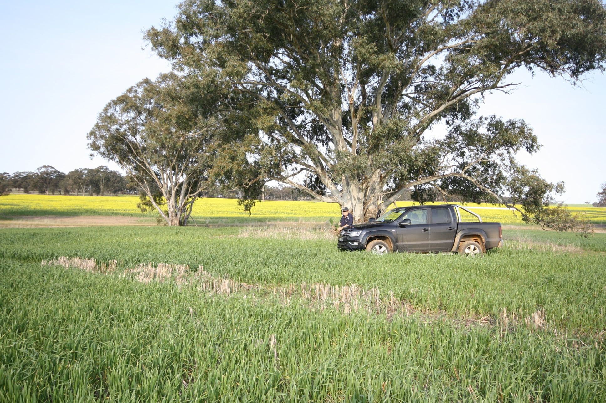 00 Dunolly Road, St Arnaud VIC 3478, St Arnaud - Thumbnail 3