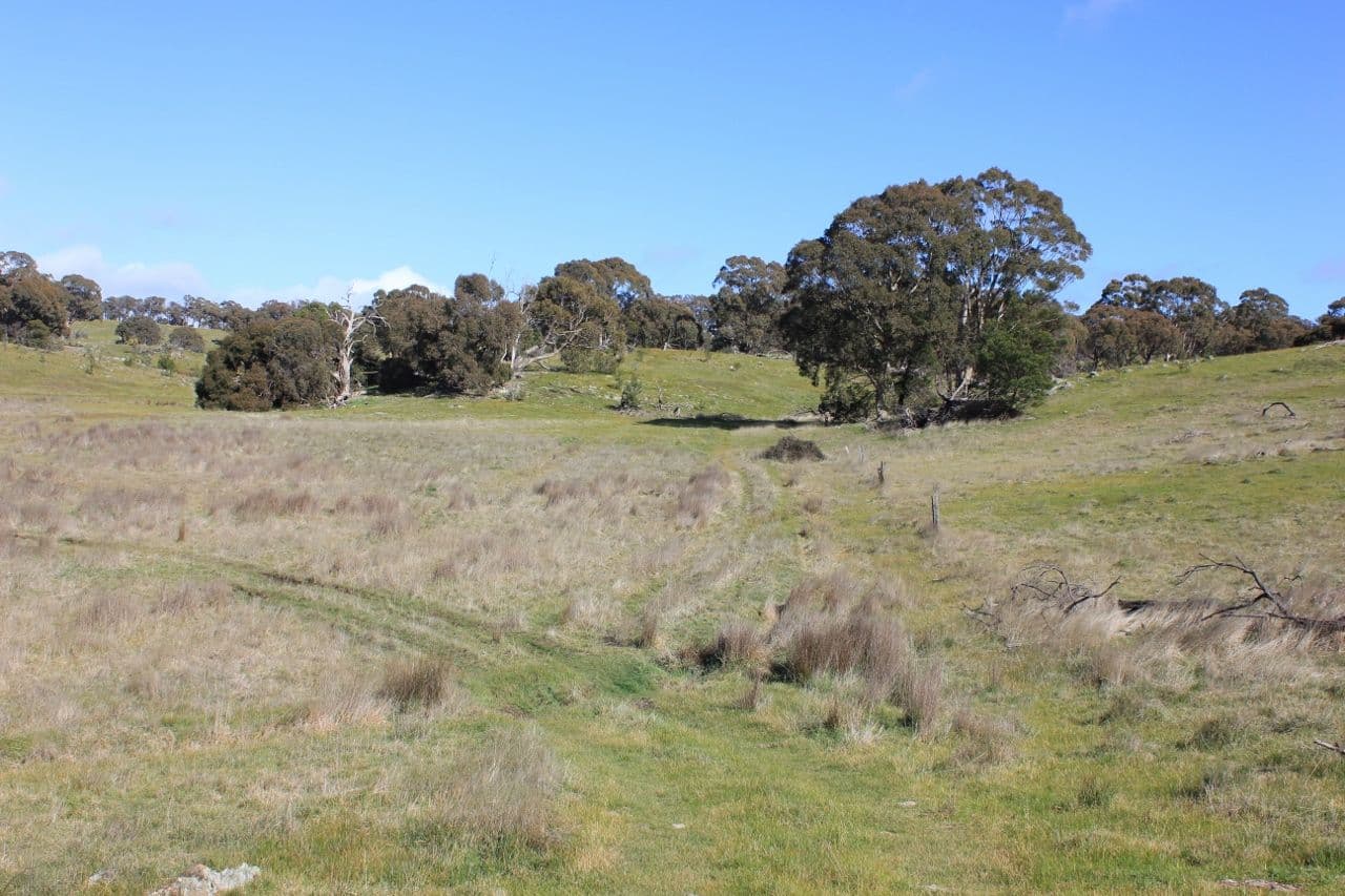 Tooborac VIC 3522, Tooborac - Thumbnail 5
