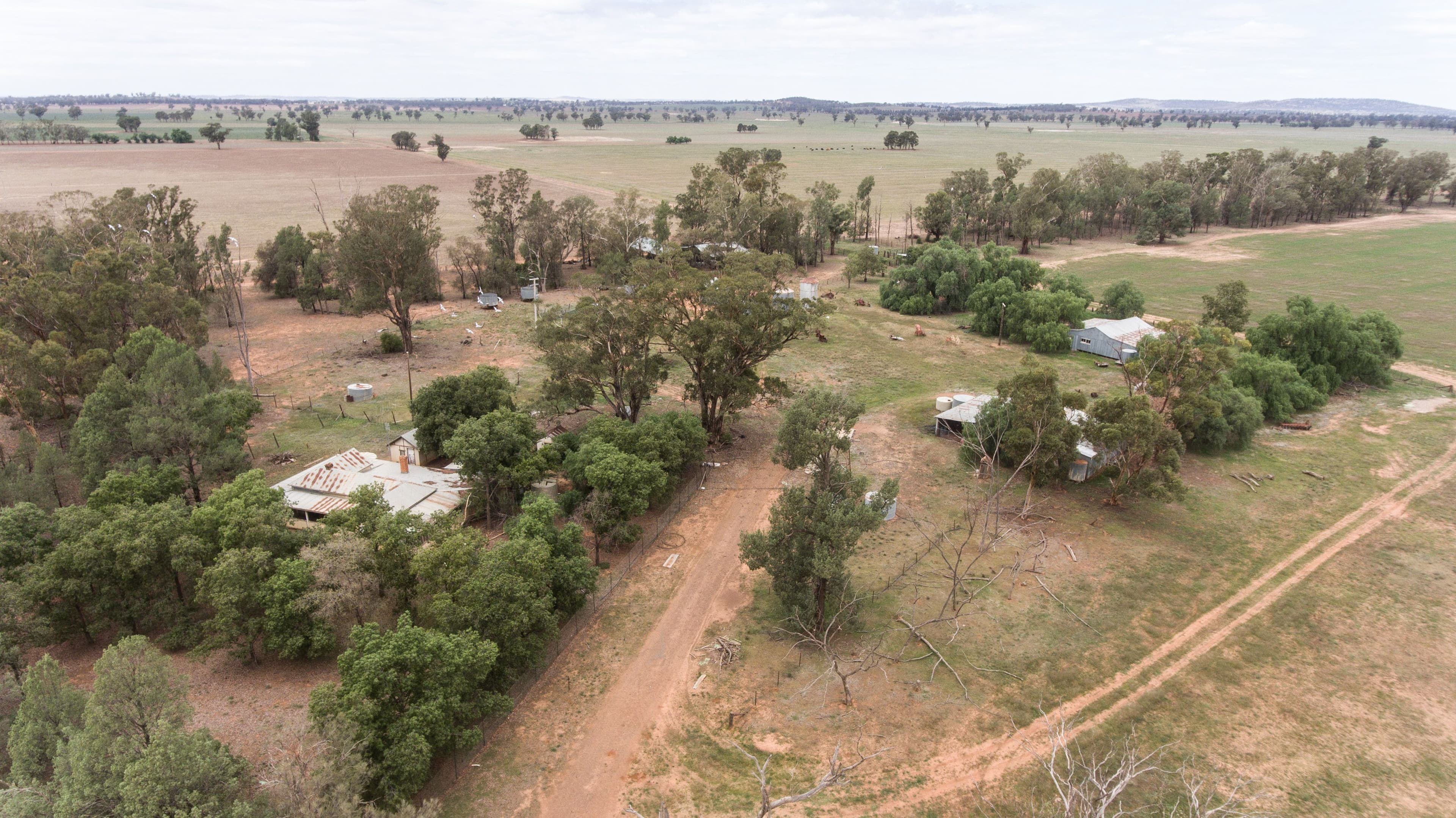 Young NSW 2594, Young - Thumbnail 4