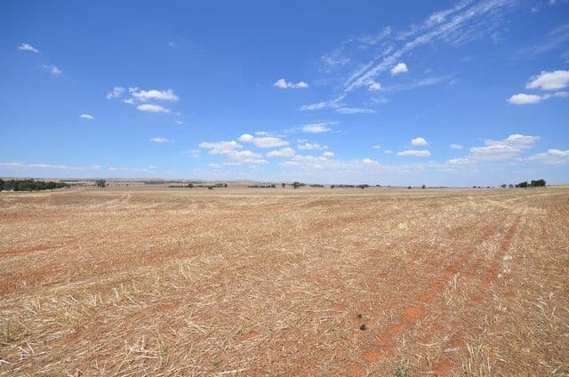"Bills" Farrell Flat Road, Farrell Flat SA 5416, Farrell Flat - Thumbnail 2
