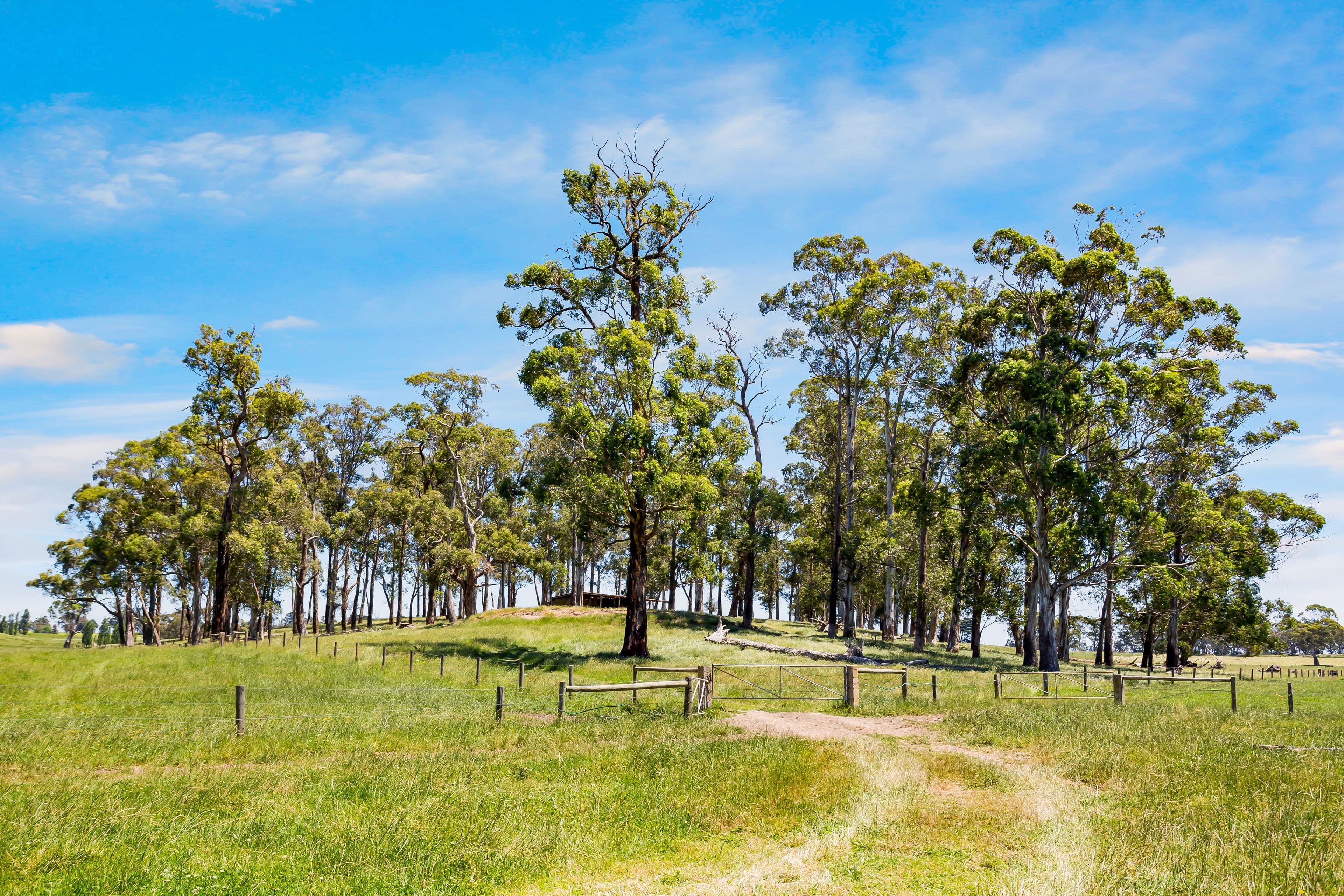 Lot 1 Standfields Road, Poowong North VIC 3988, Poowong North - Thumbnail 6