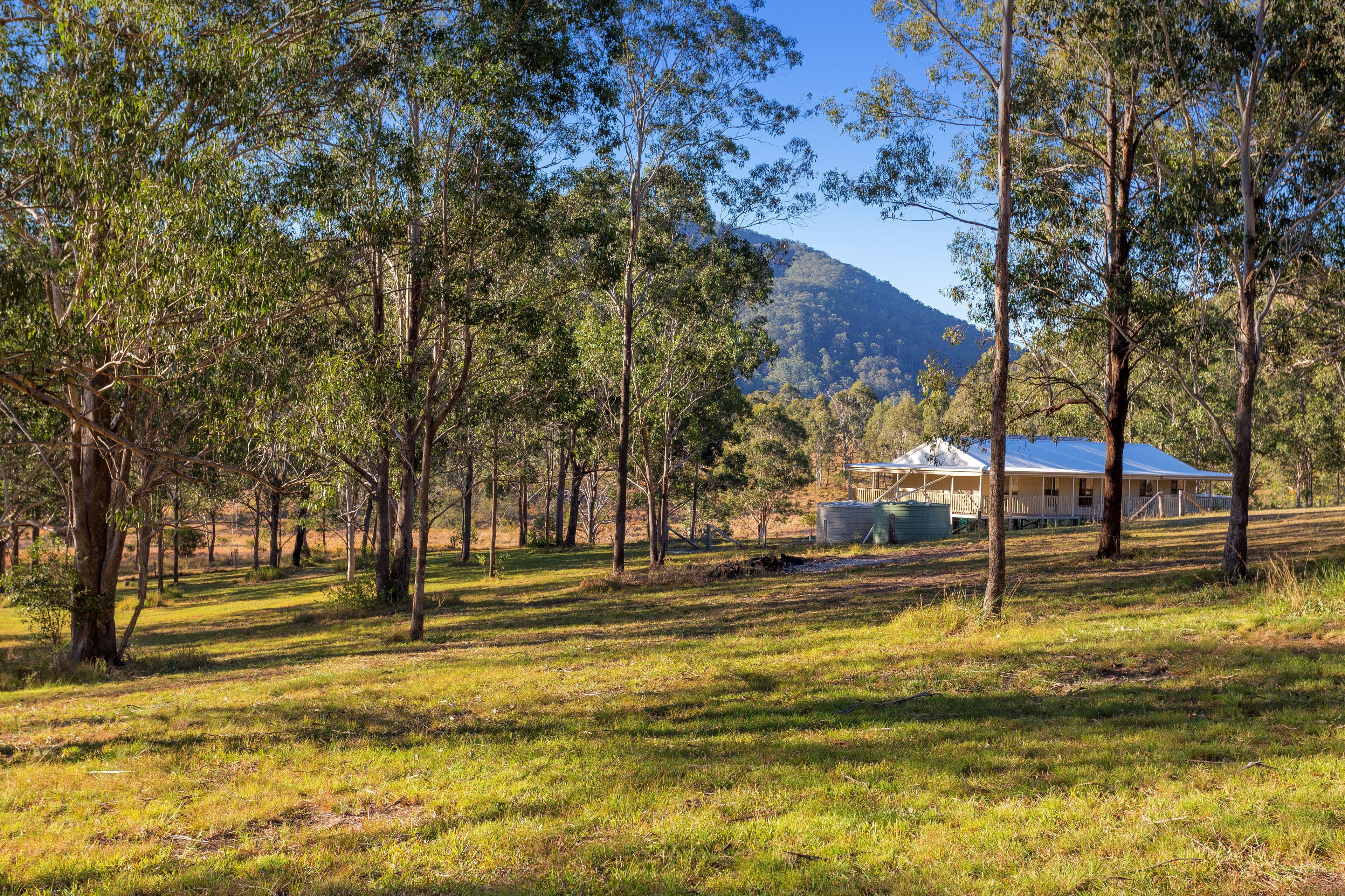 11 Borserio Drive, Mount George NSW 2424, Mount George - Thumbnail 4