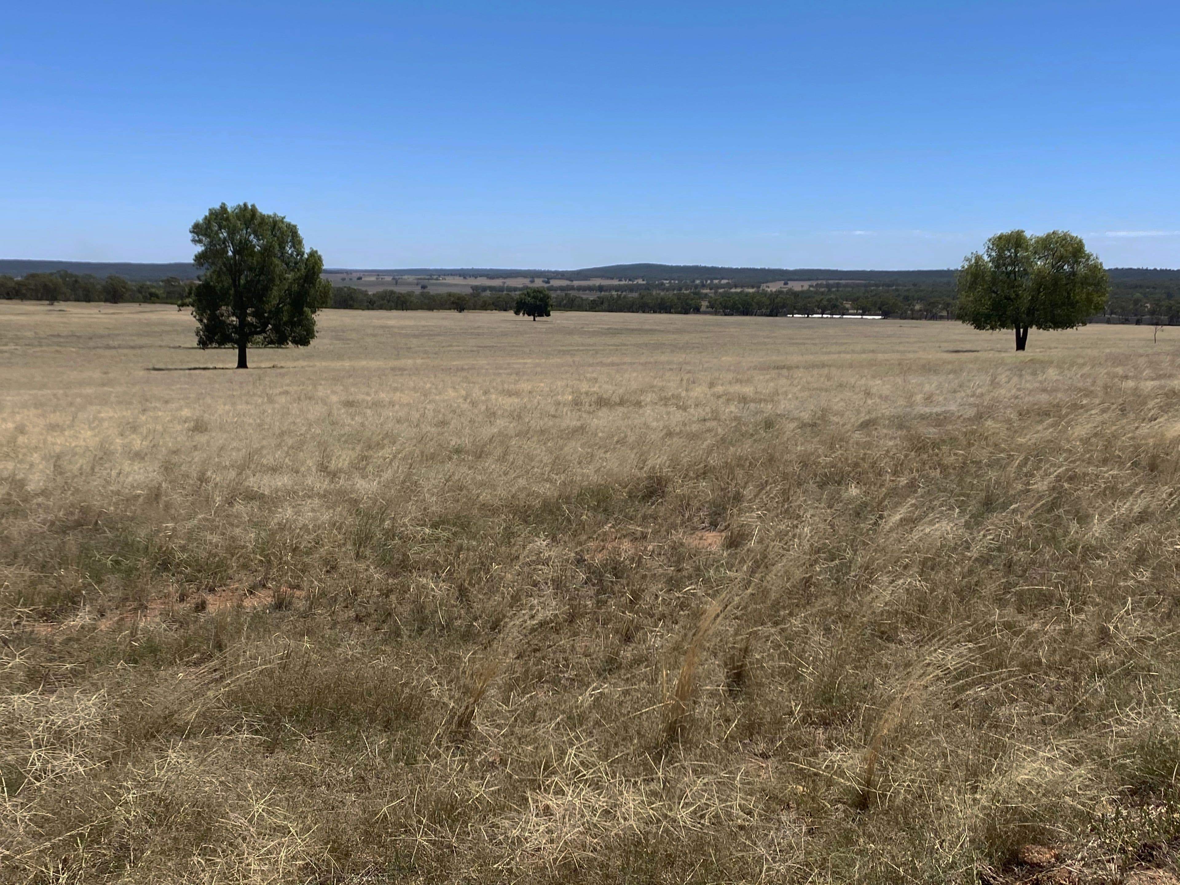 918 The Springs Road, Rankins Springs NSW 2669, Rankins Springs - Thumbnail 5
