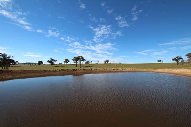201 Gallymont Road, Mandurama NSW 2792, Mandurama - Thumbnail 2