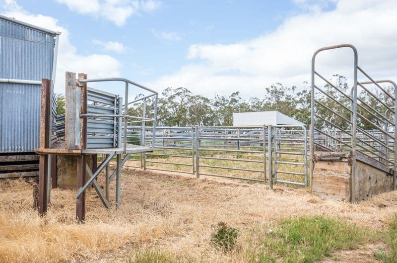 5 Jory Crescent, RAWORTH NSW 2321, Raworth - Thumbnail 8