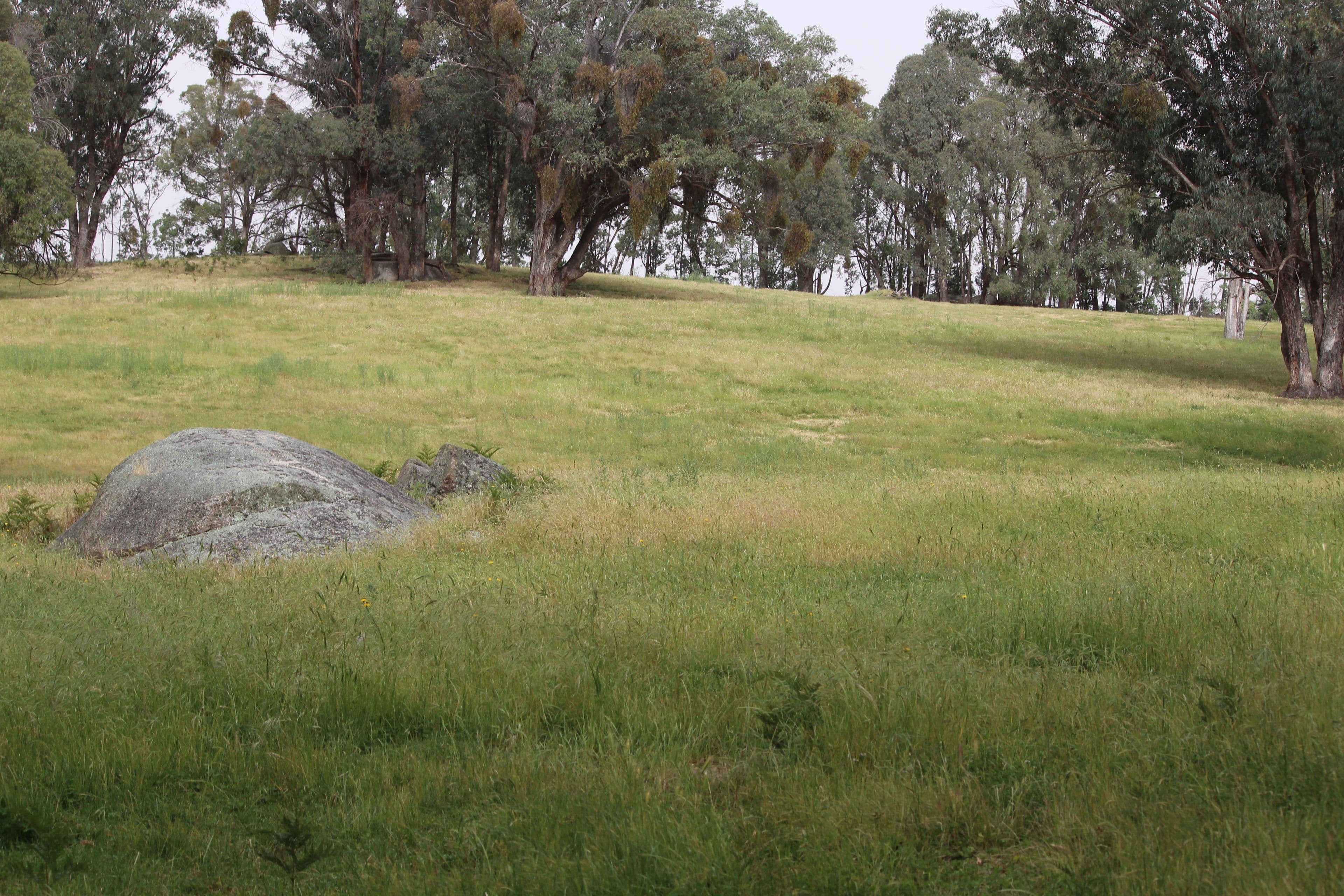 1126 Munderoo Road, Munderoo NSW 2653, Munderoo - Thumbnail 3