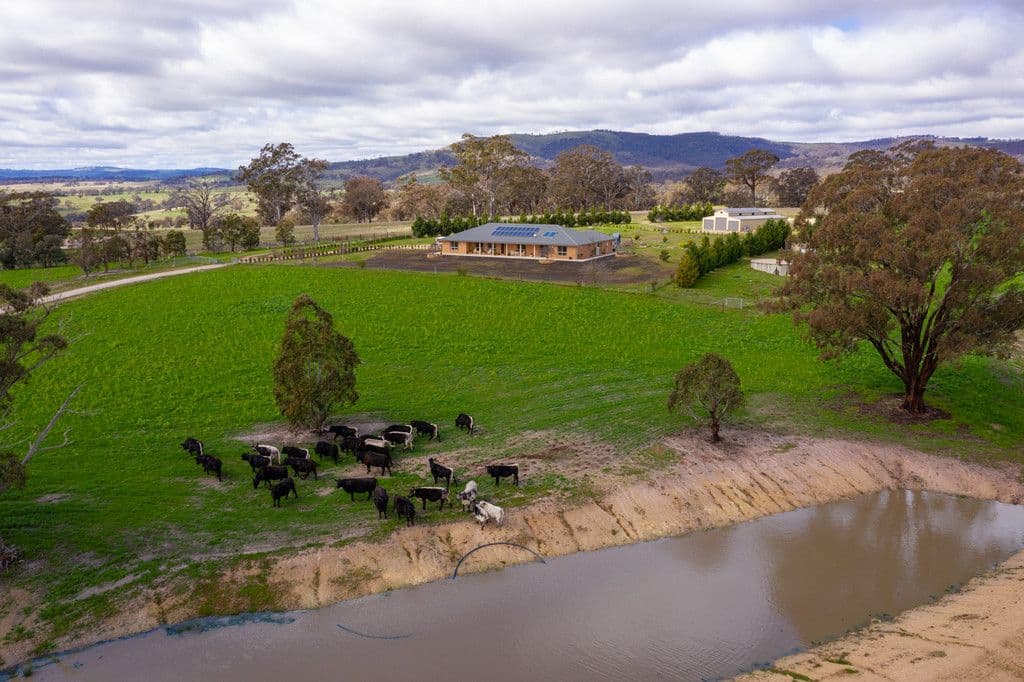 1299 Carlwood Road, O'Connell NSW 2795, O'Connell - Thumbnail 2