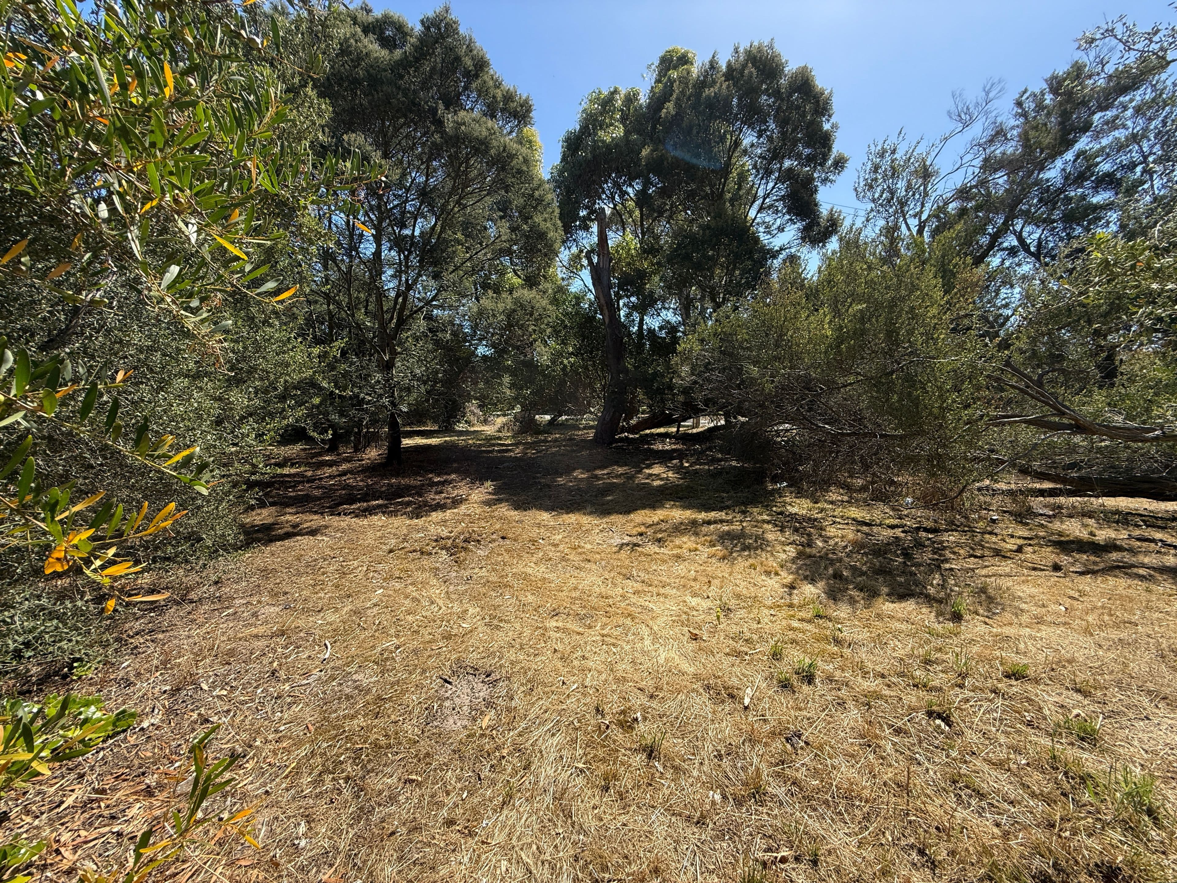 105 Swans Way, Capel Sound VIC 3940, Capel Sound - Thumbnail 5